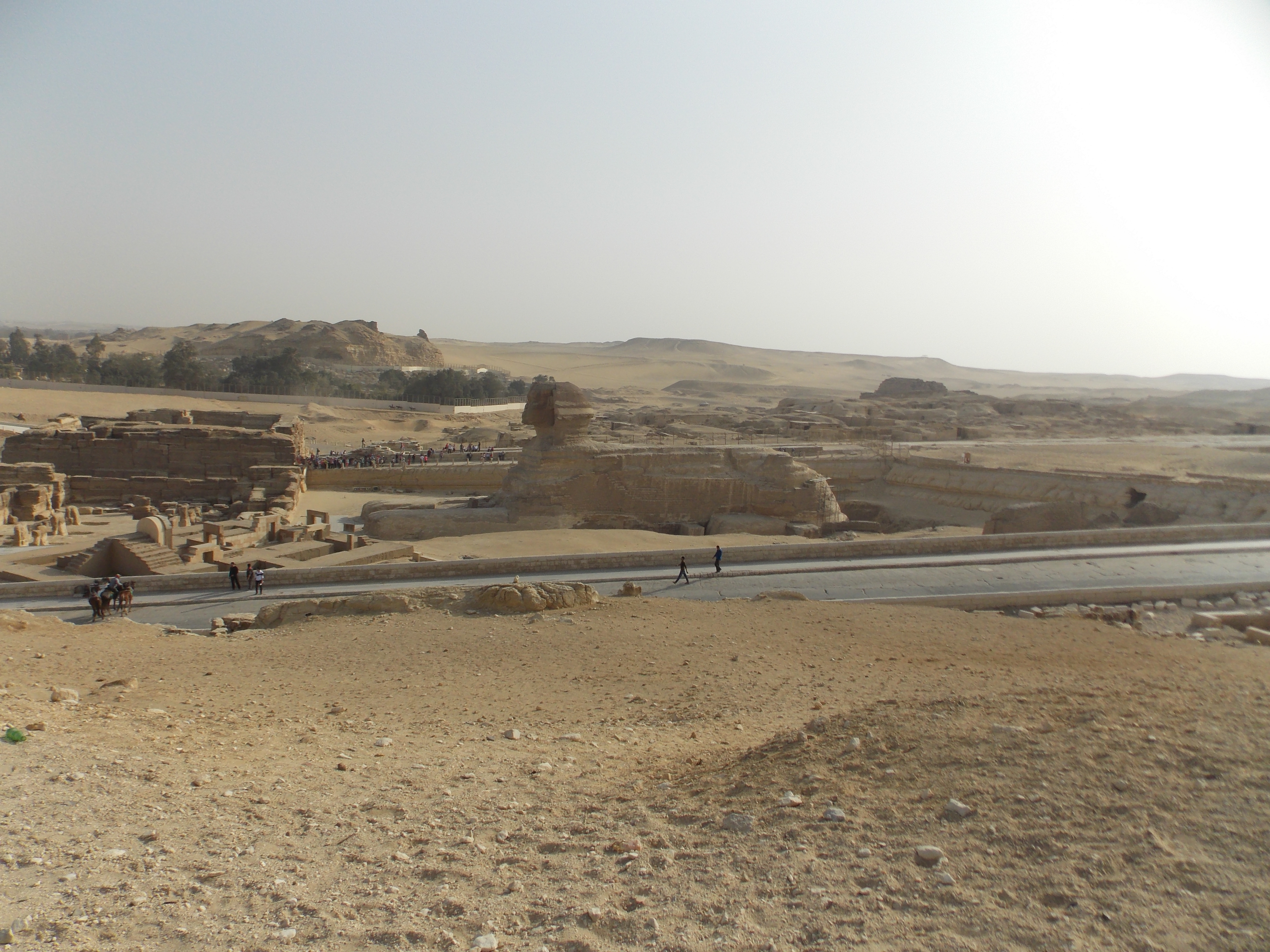 Photo from 2012