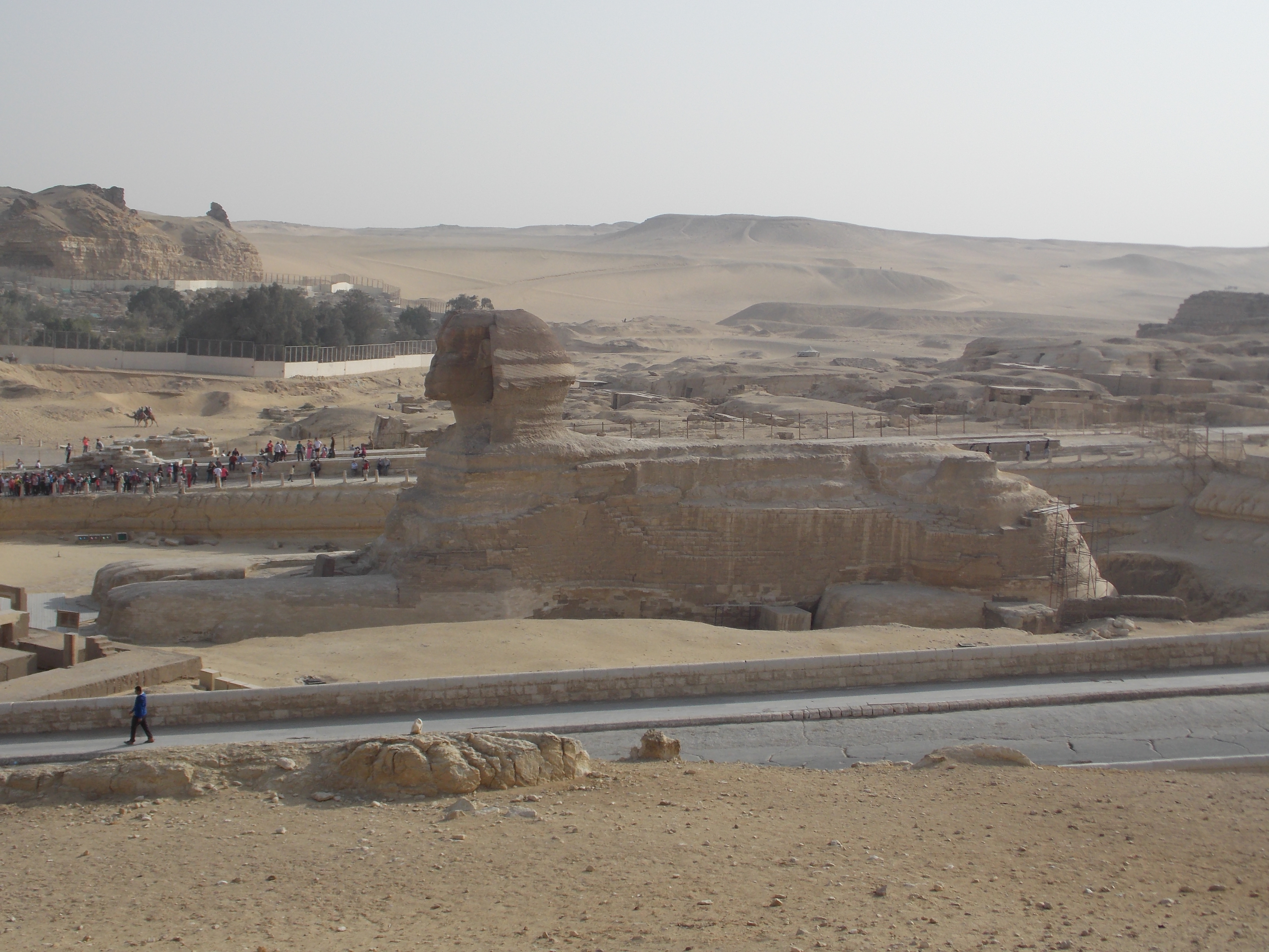 Photo from 2012