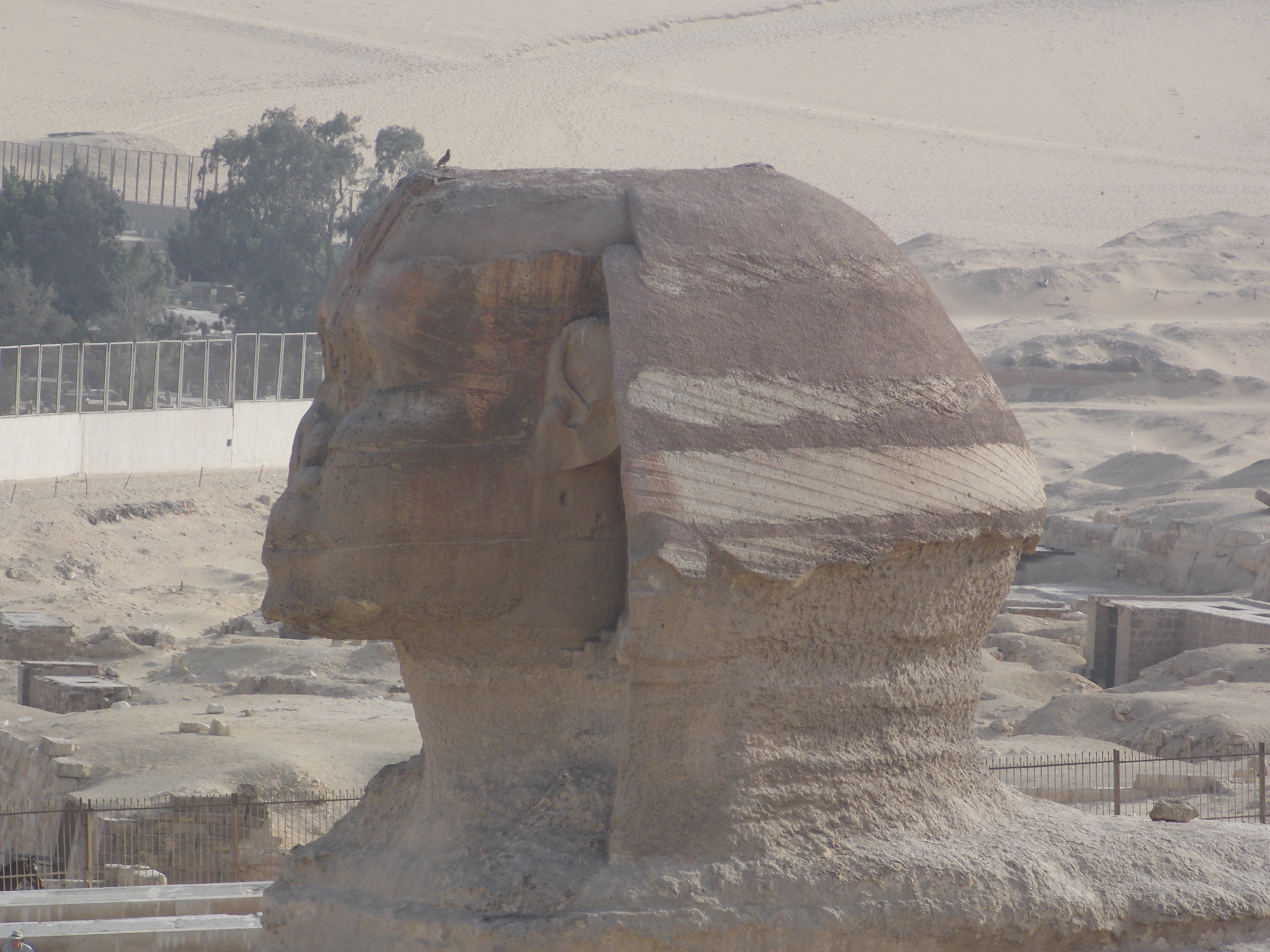 Photo from 2012