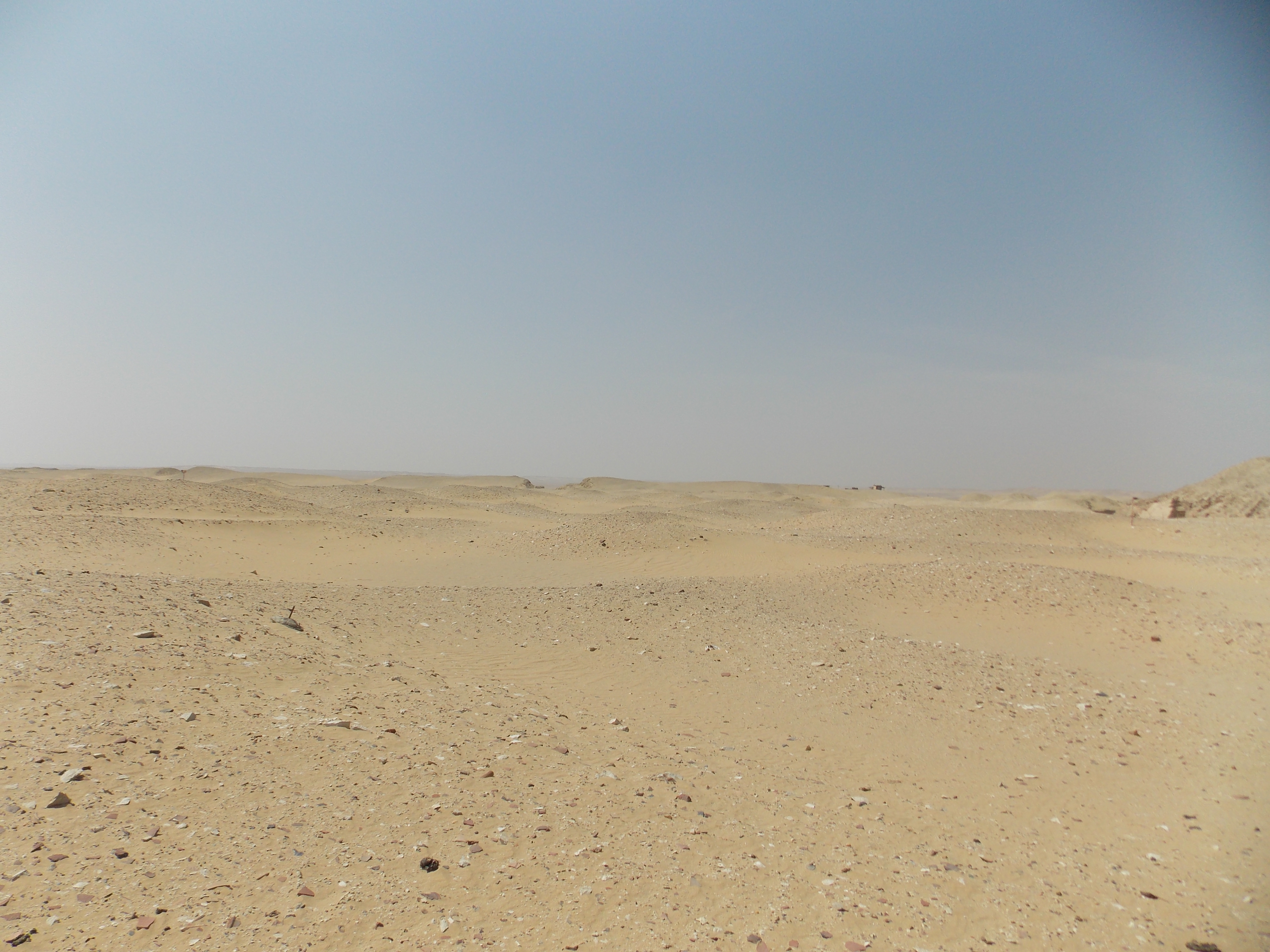 Photo from 2012