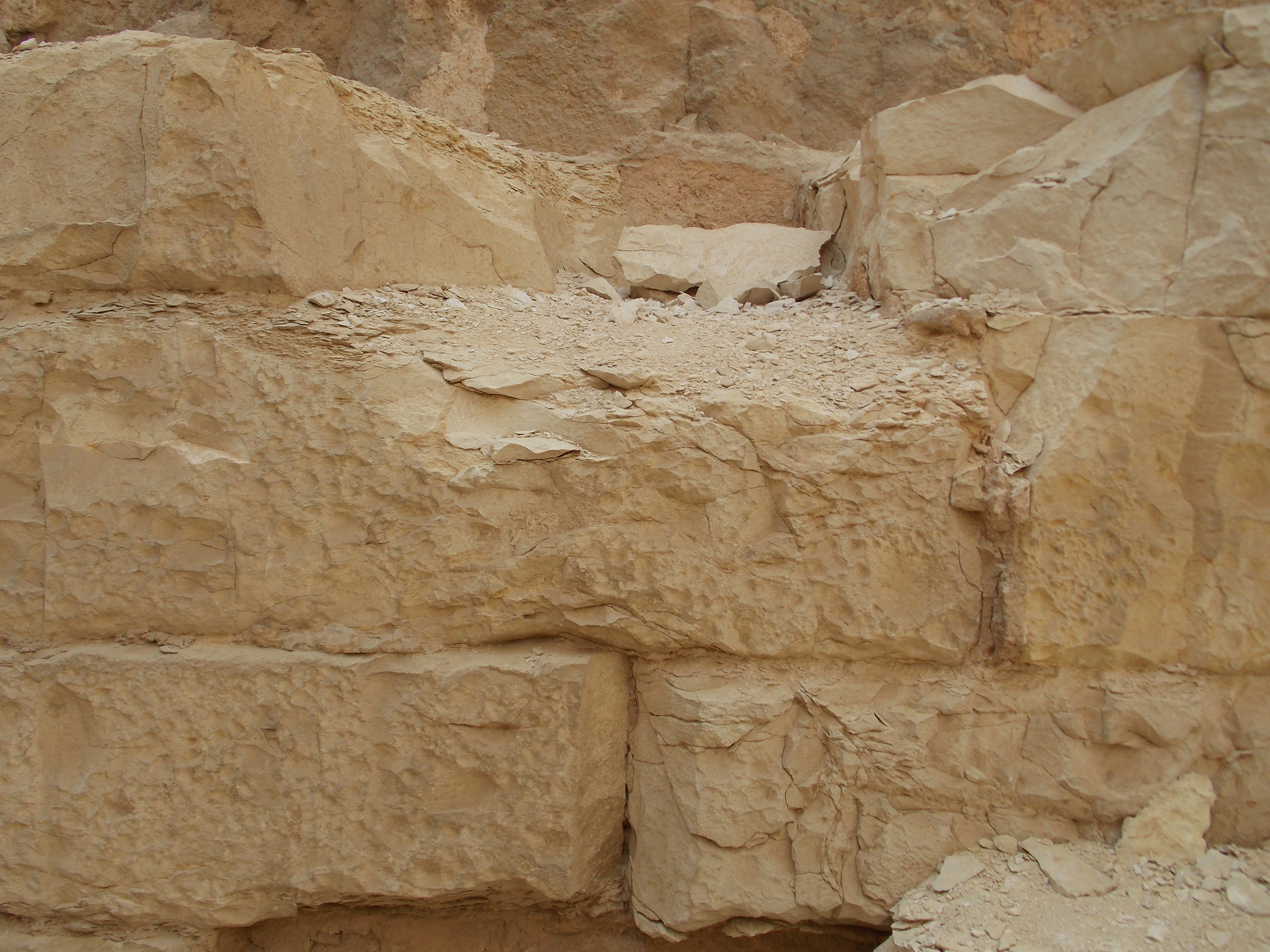 Photo from 2012