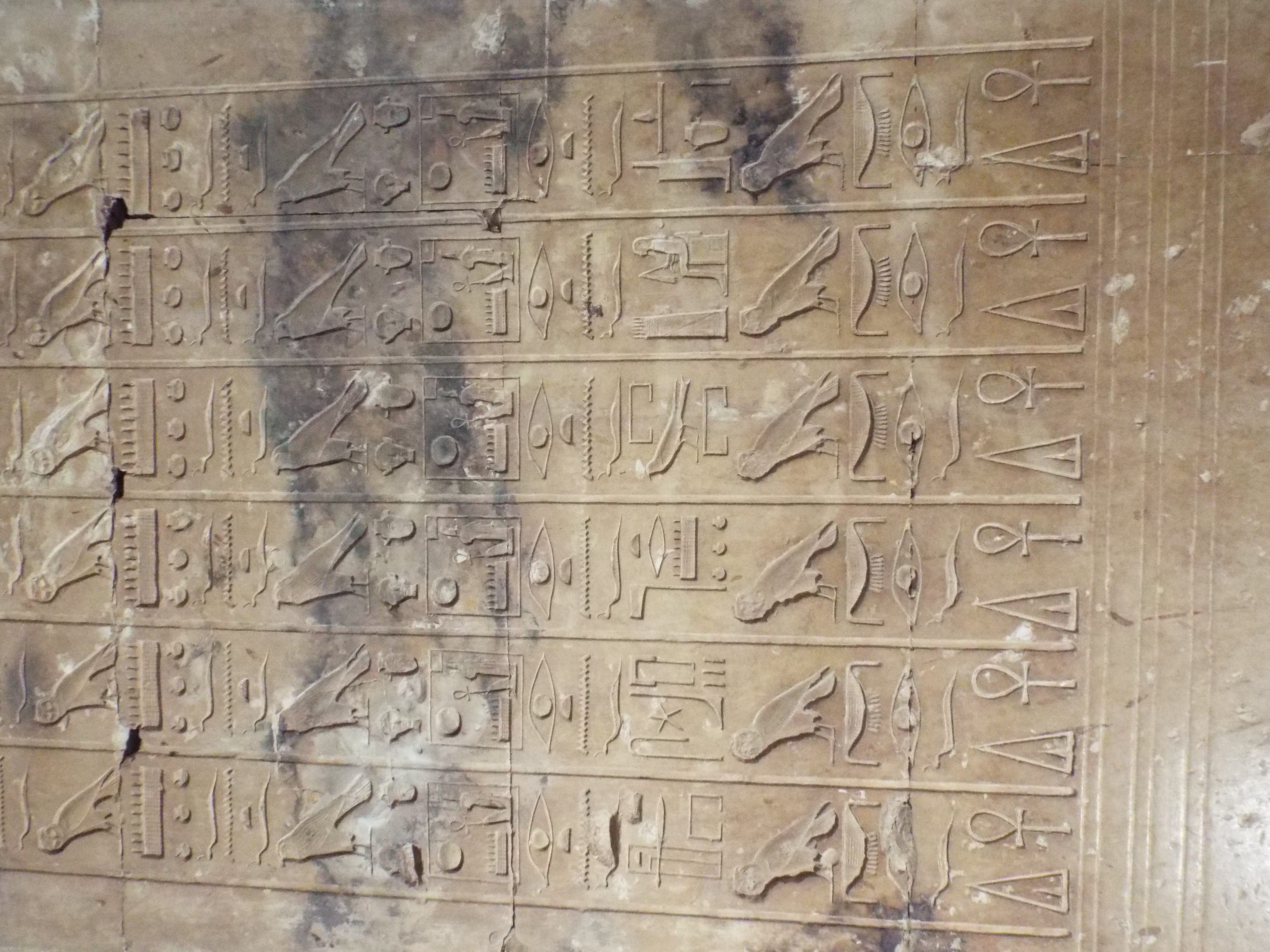 Photo from 2015