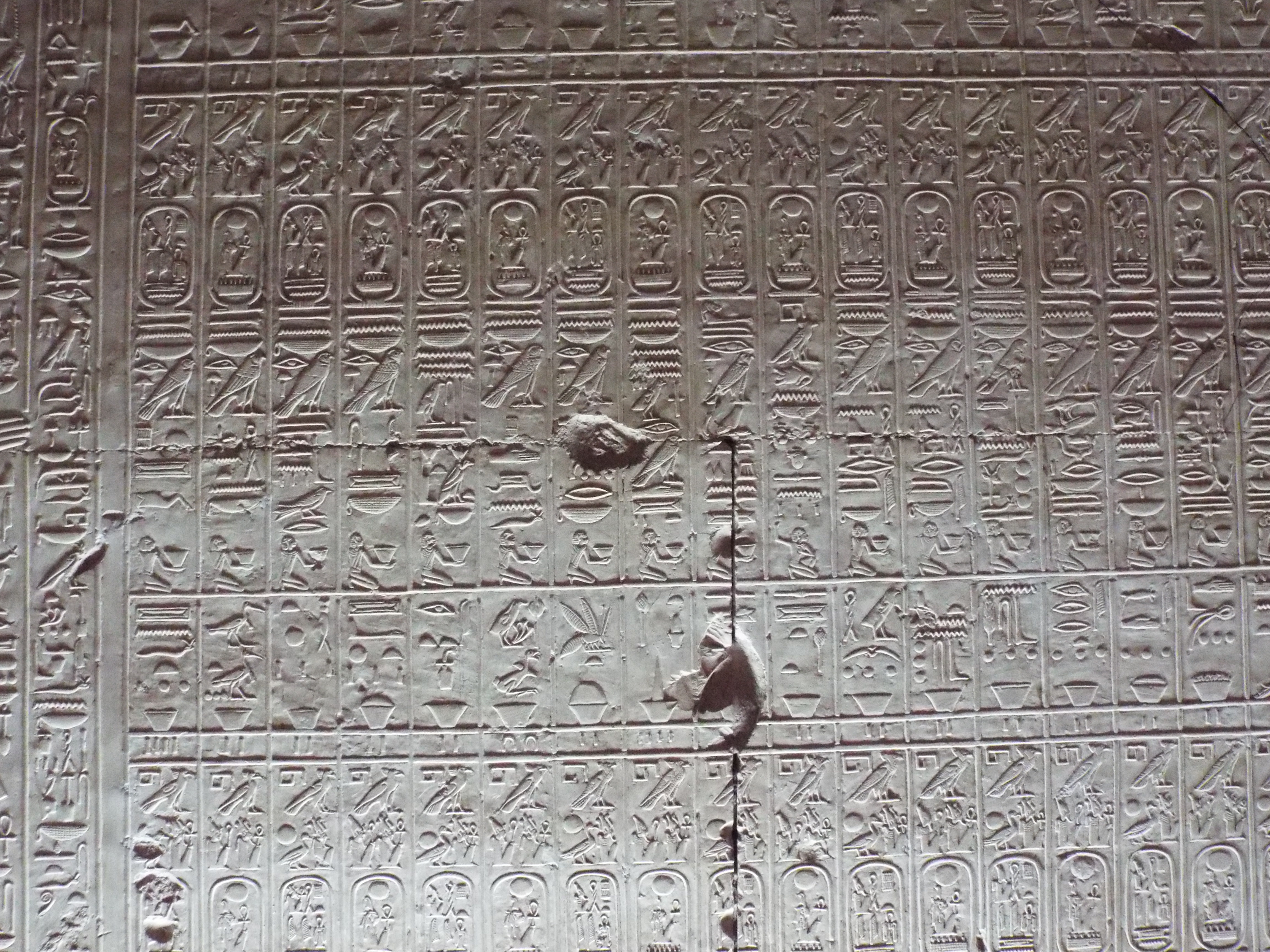 Photo from 2015