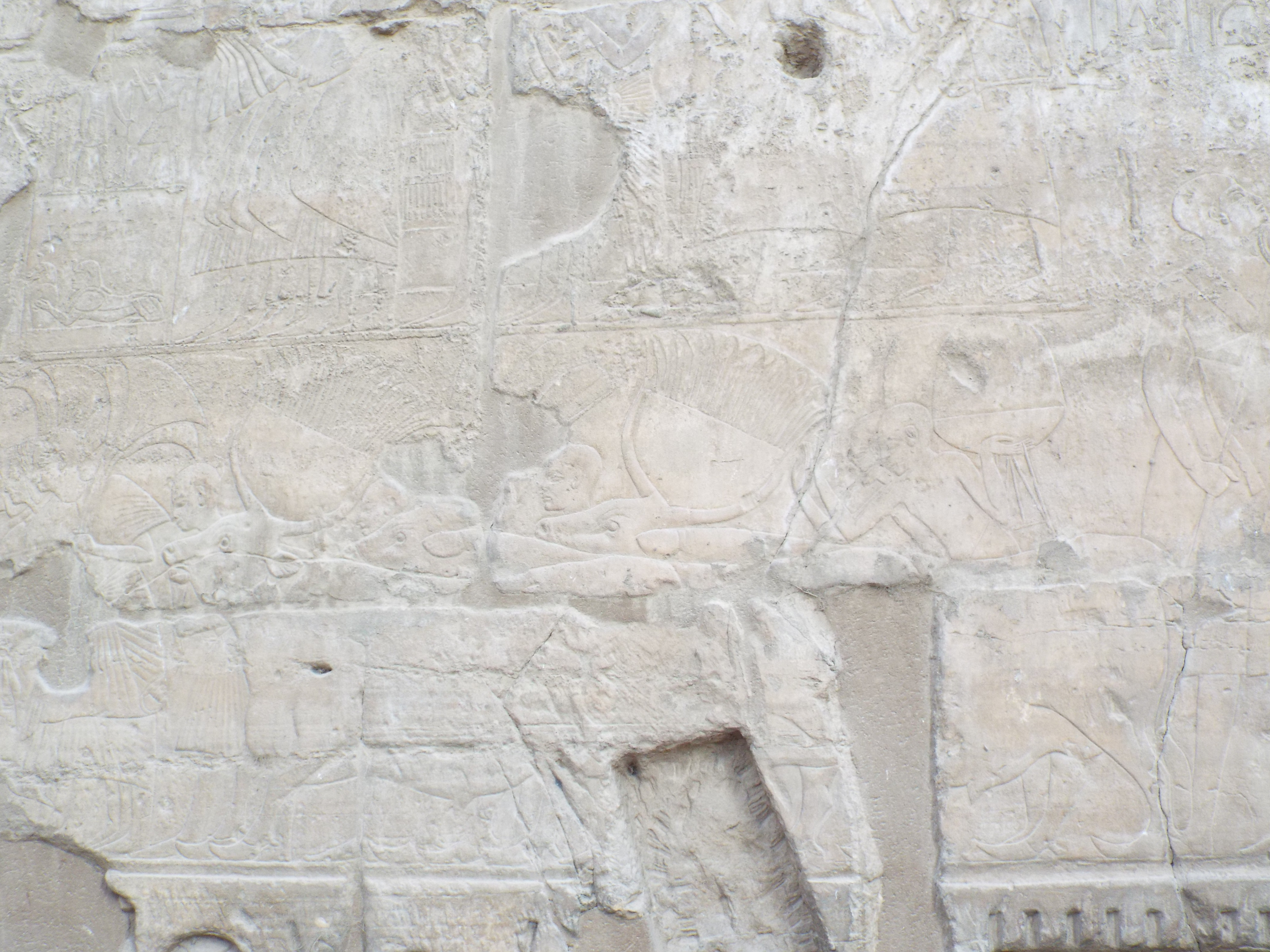 Photo from 2015