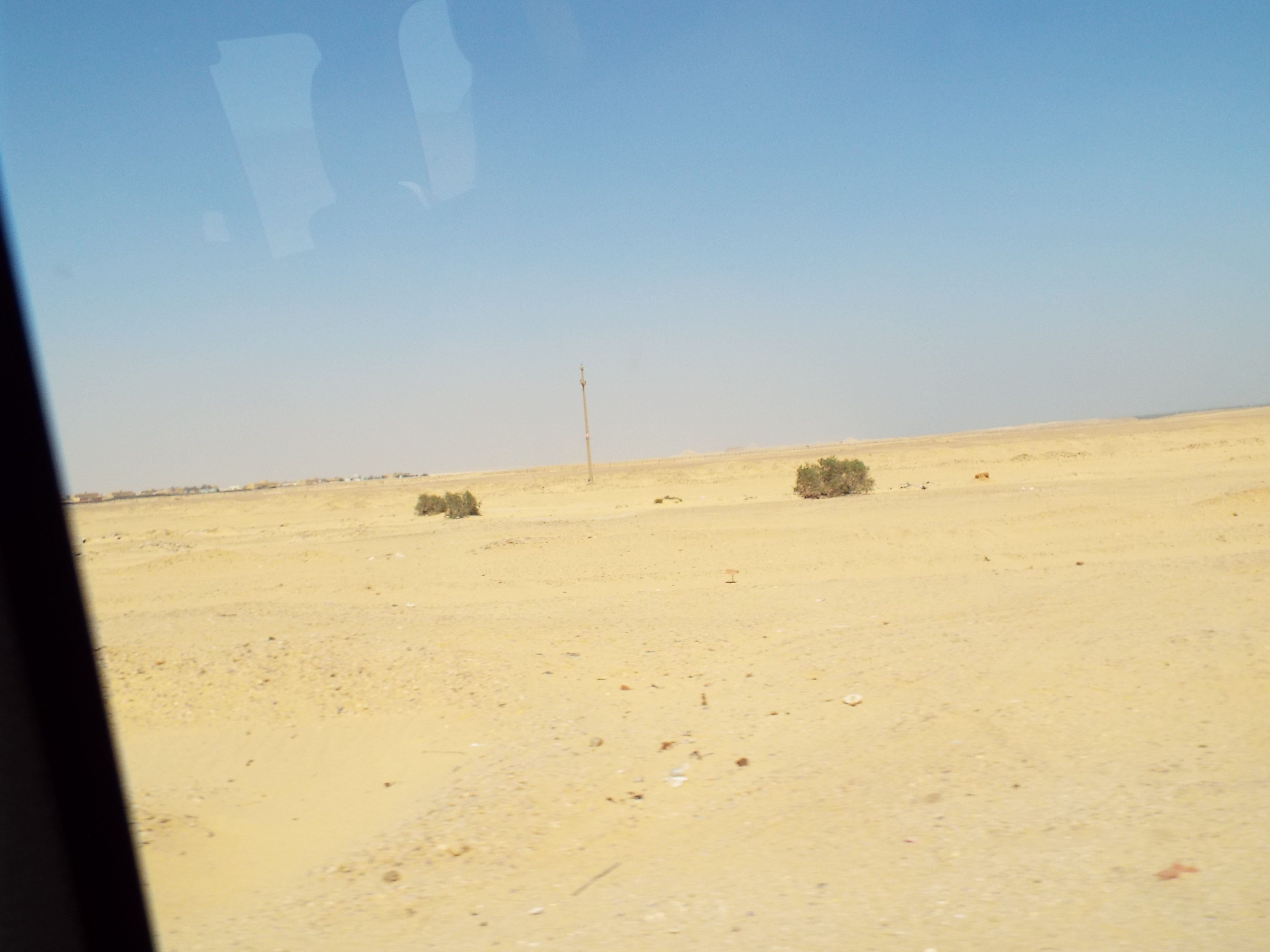Photo from 2015