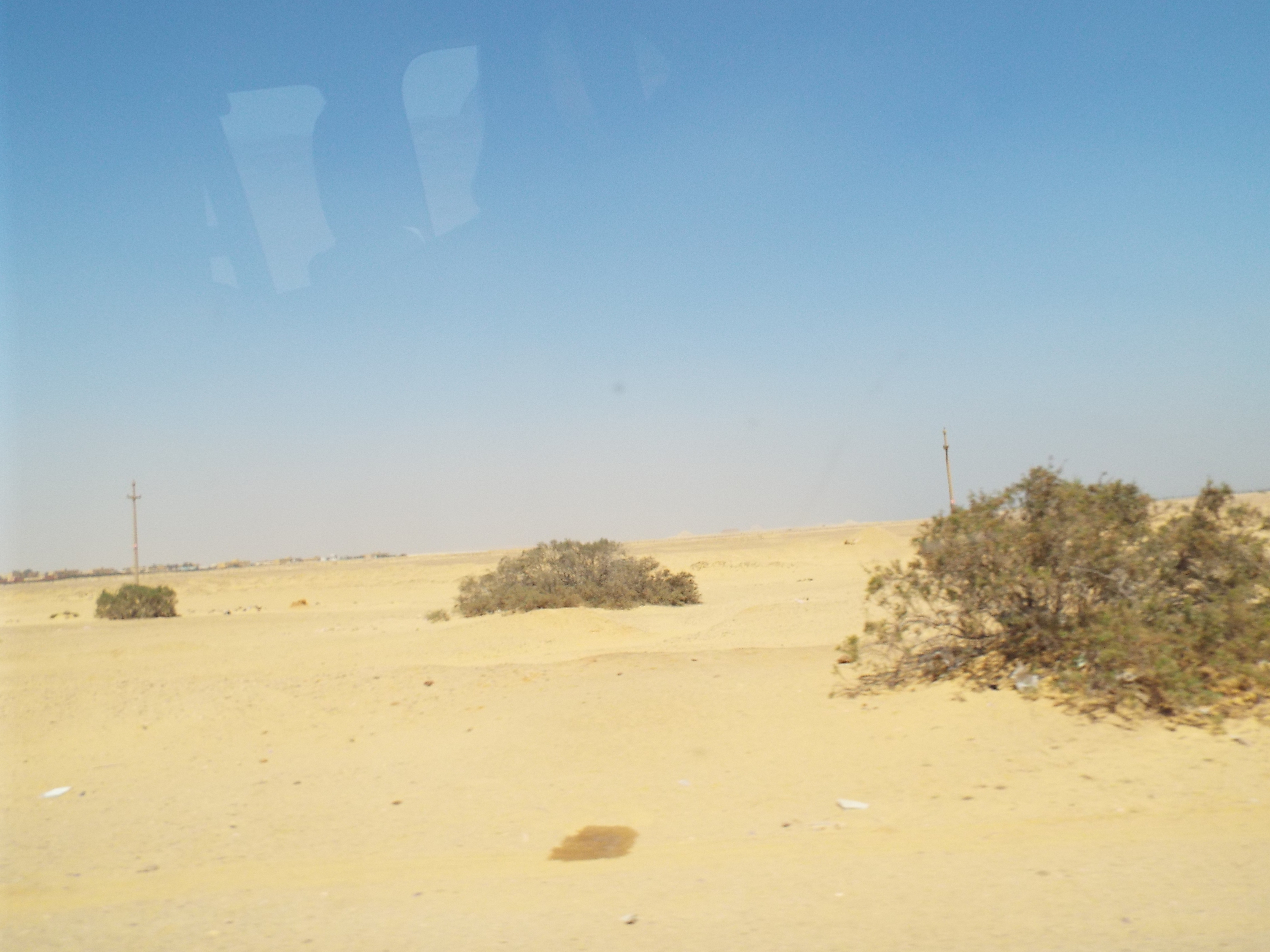 Photo from 2015