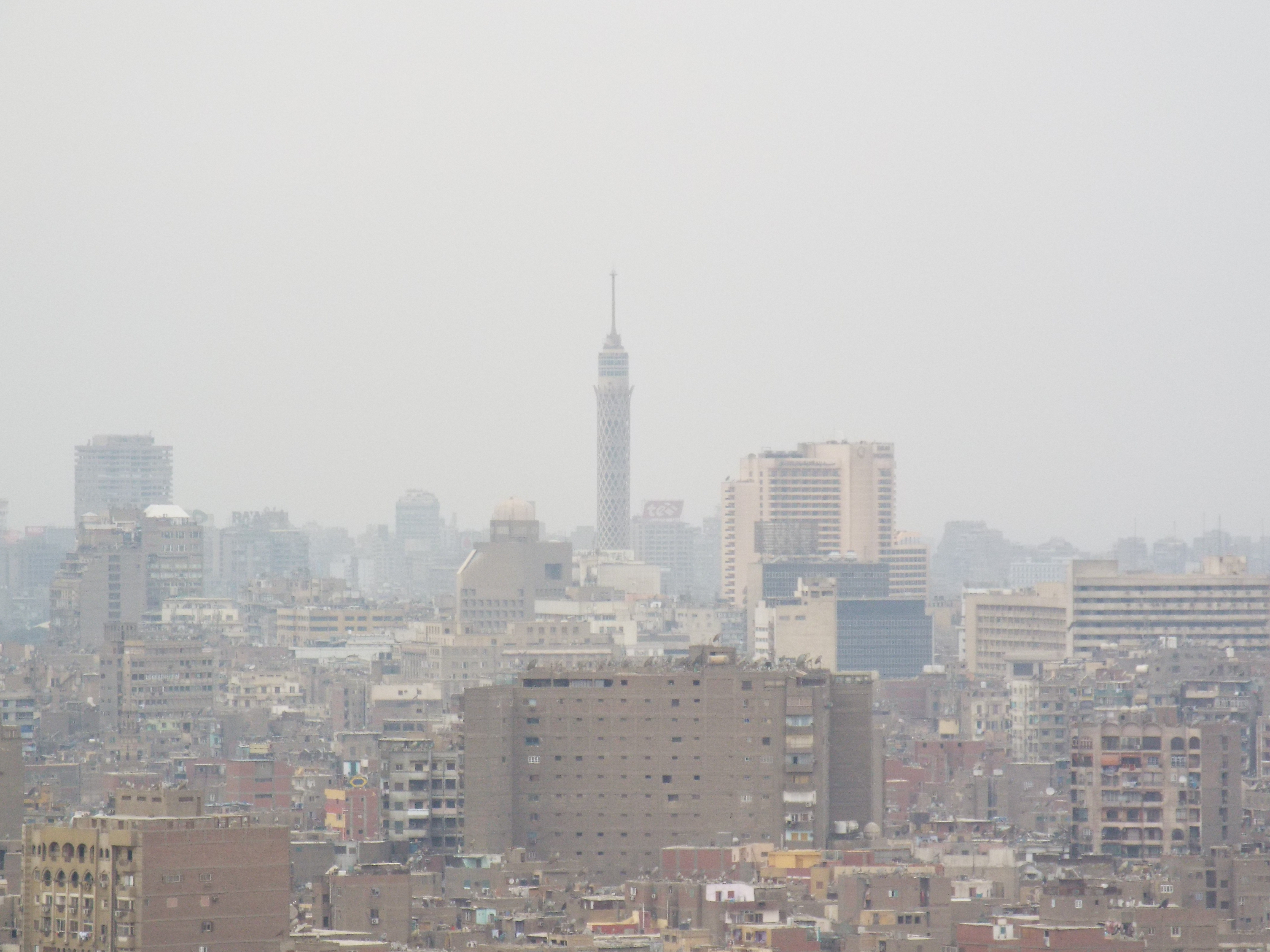 Photo from 2015