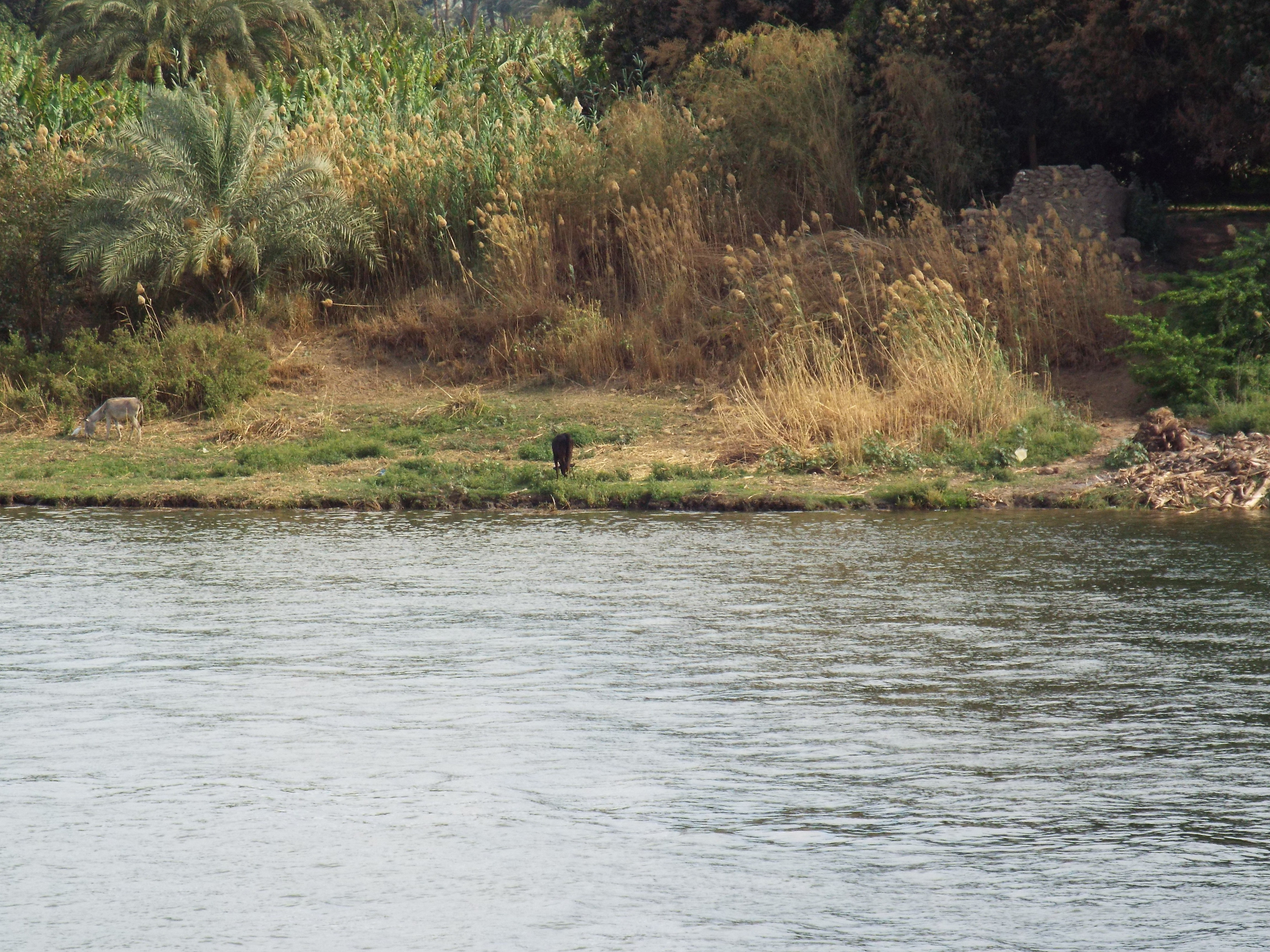 Photo from 2015