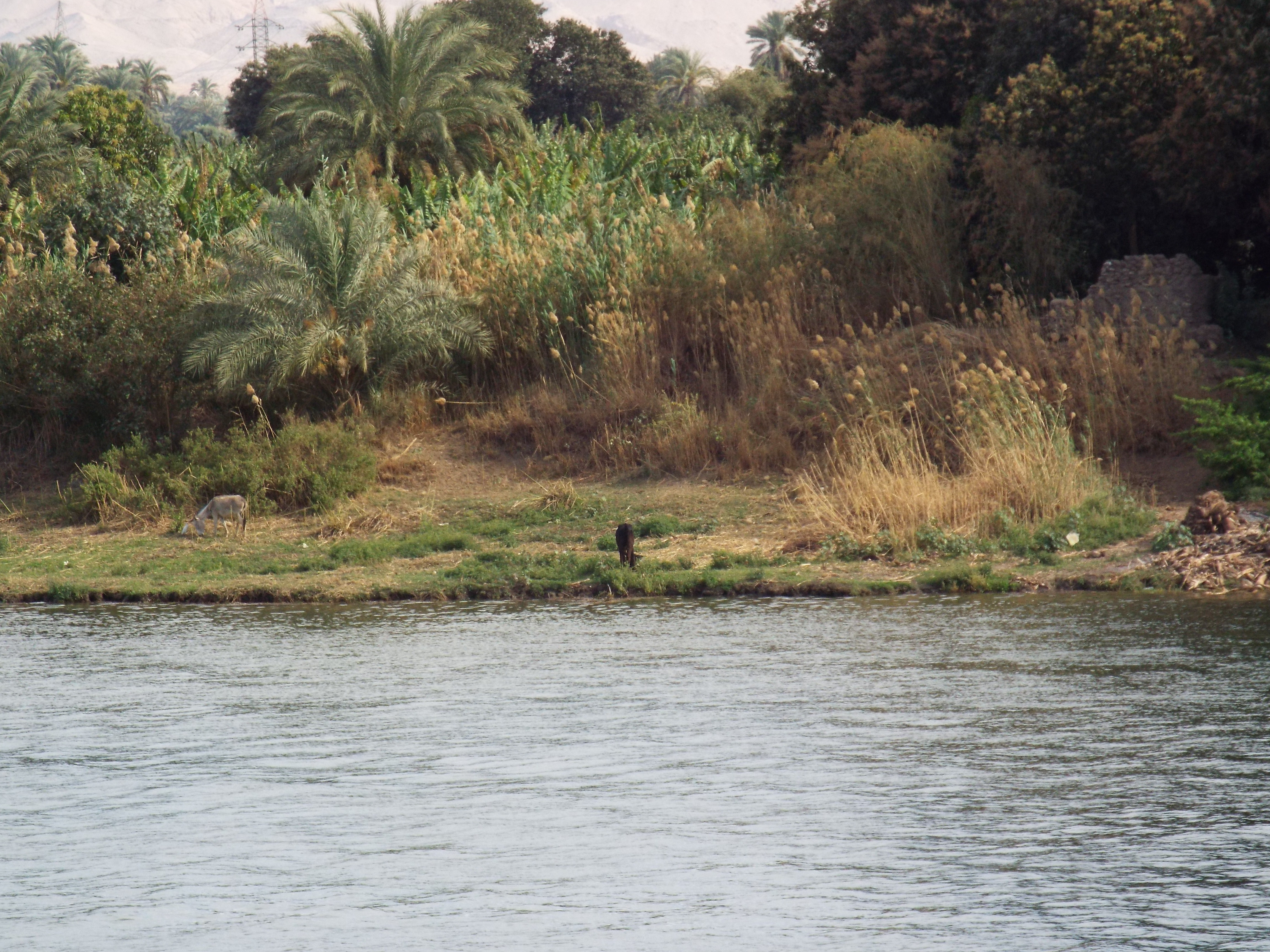 Photo from 2015