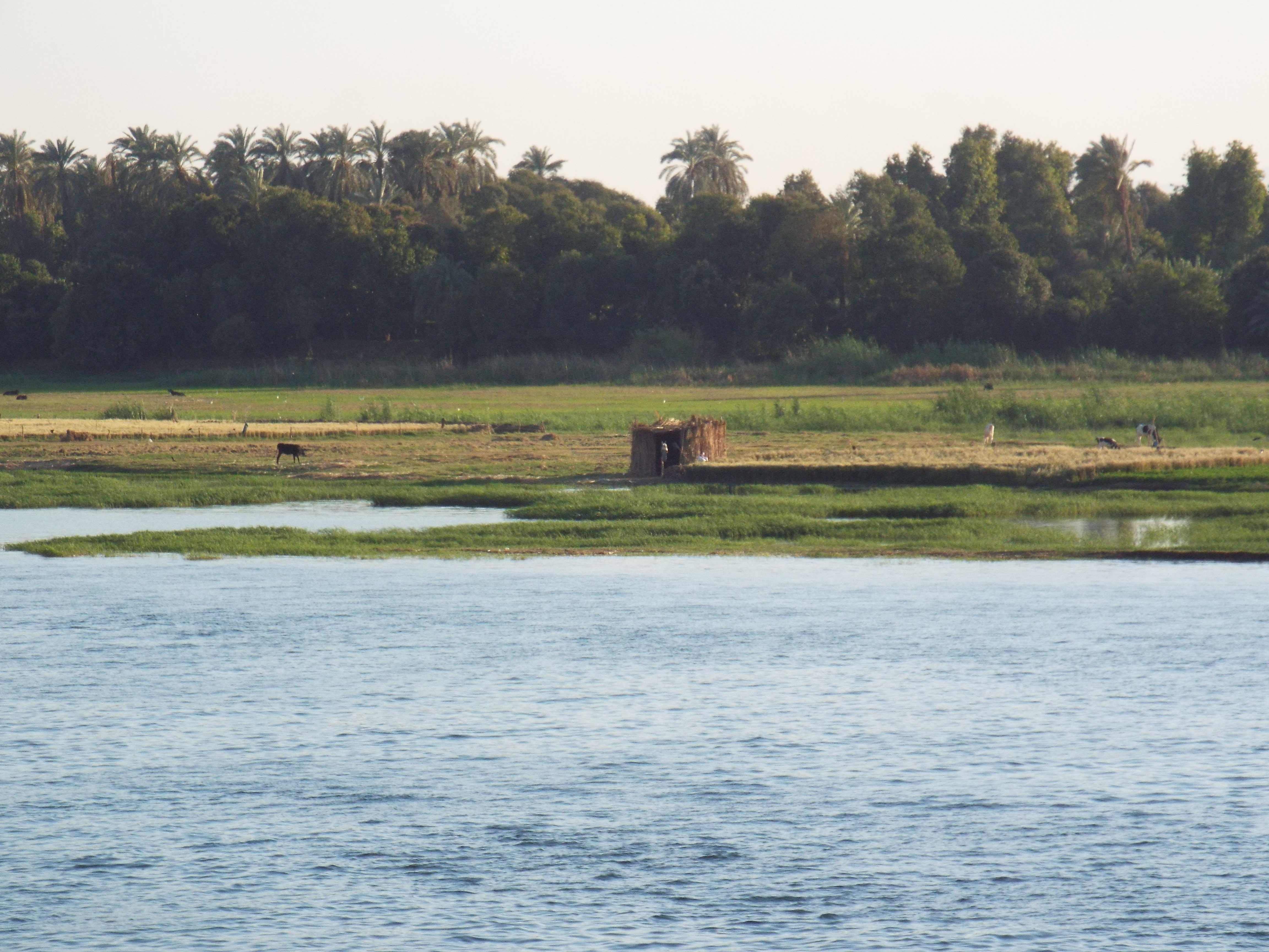 Photo from 2015