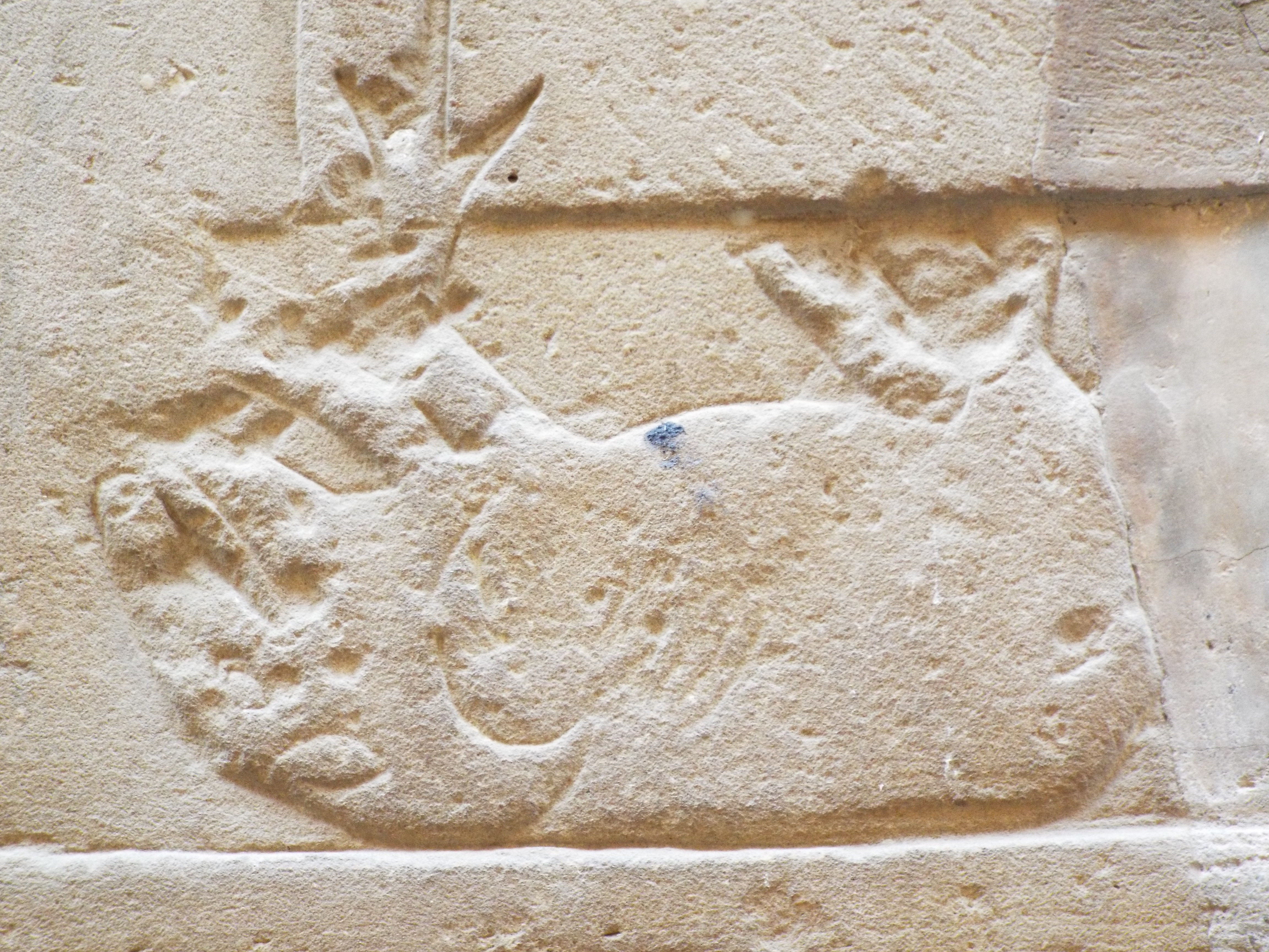 Photo from 2015
