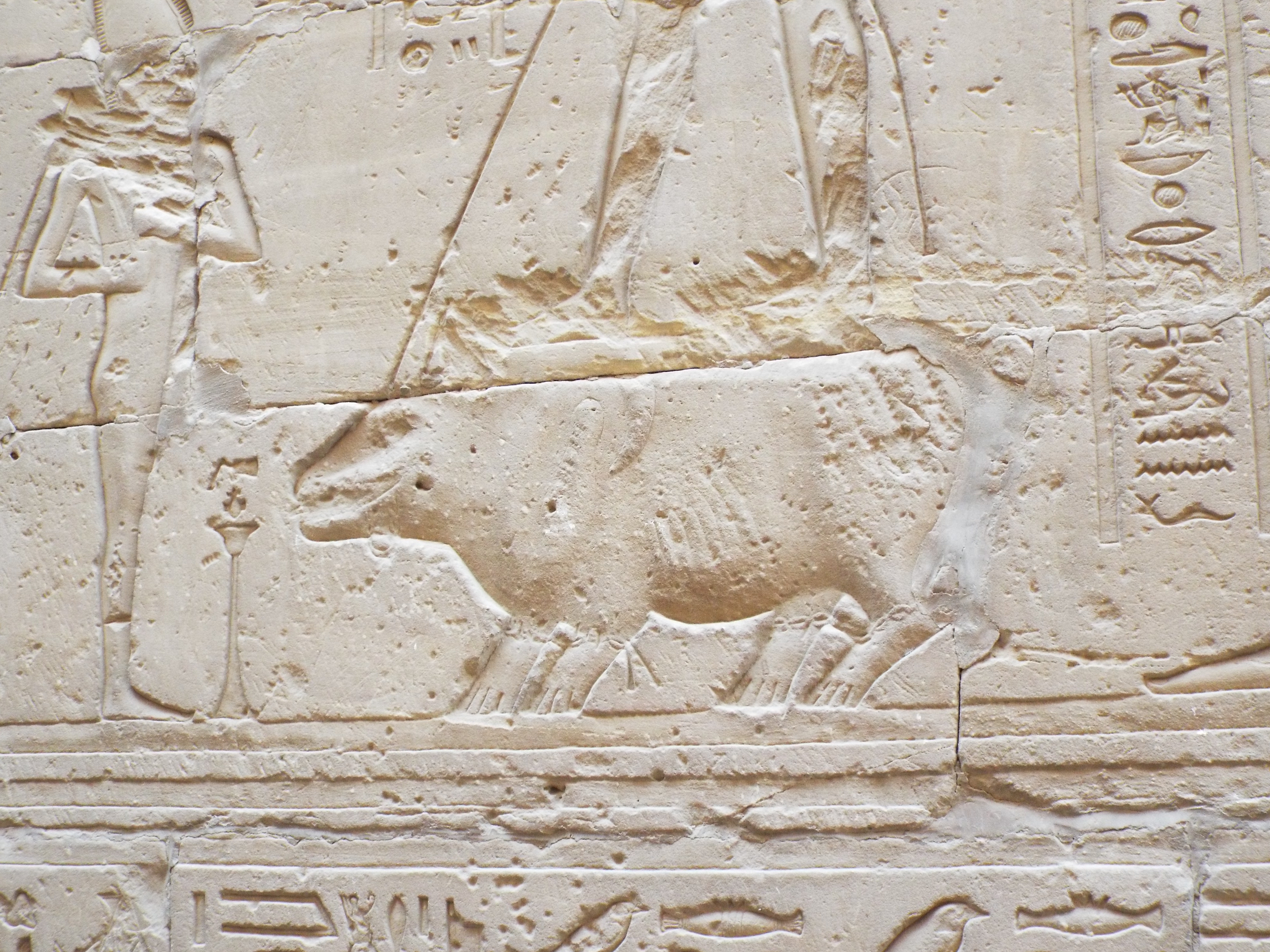 Photo from 2015