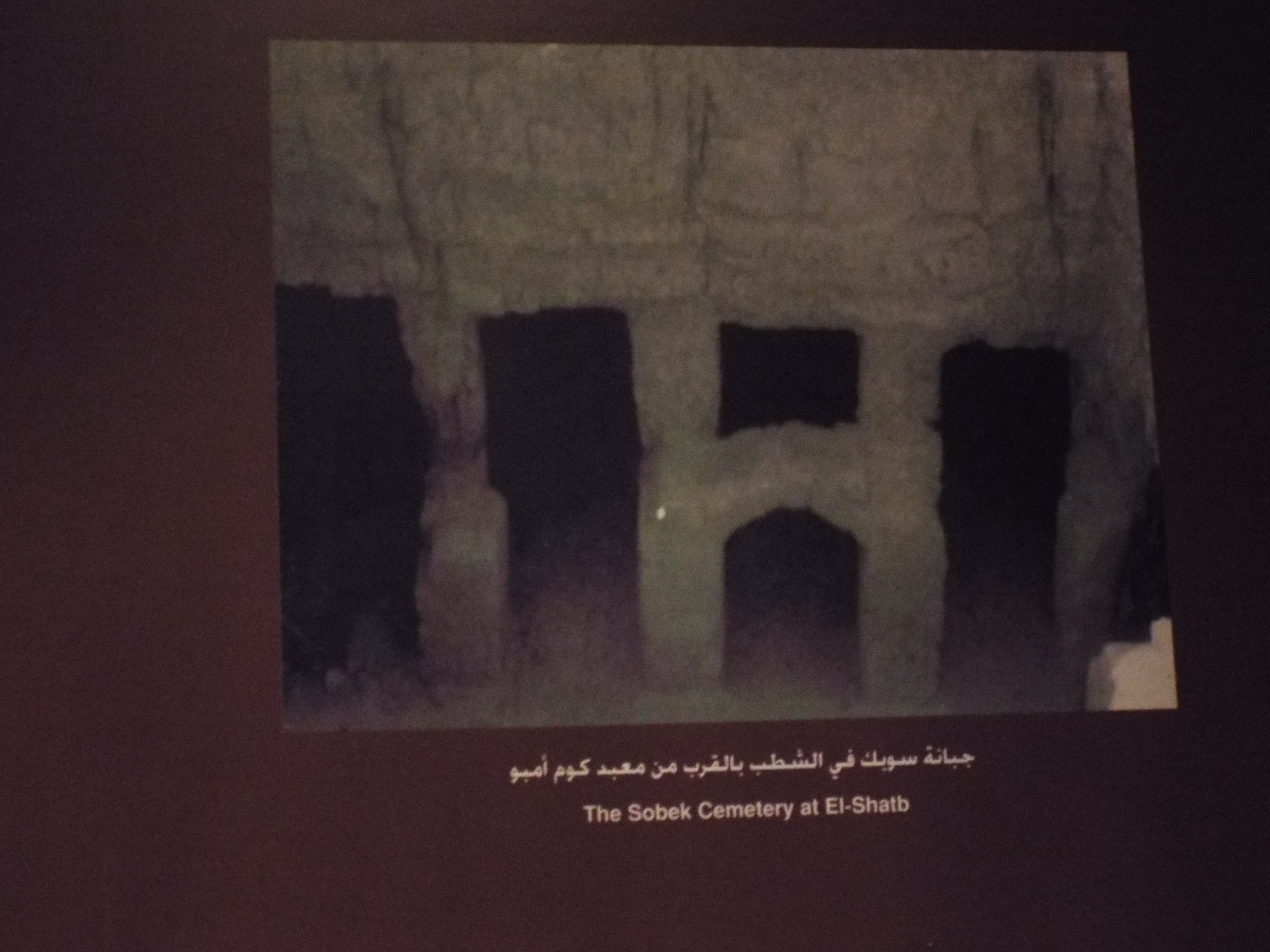 Photo from 2015