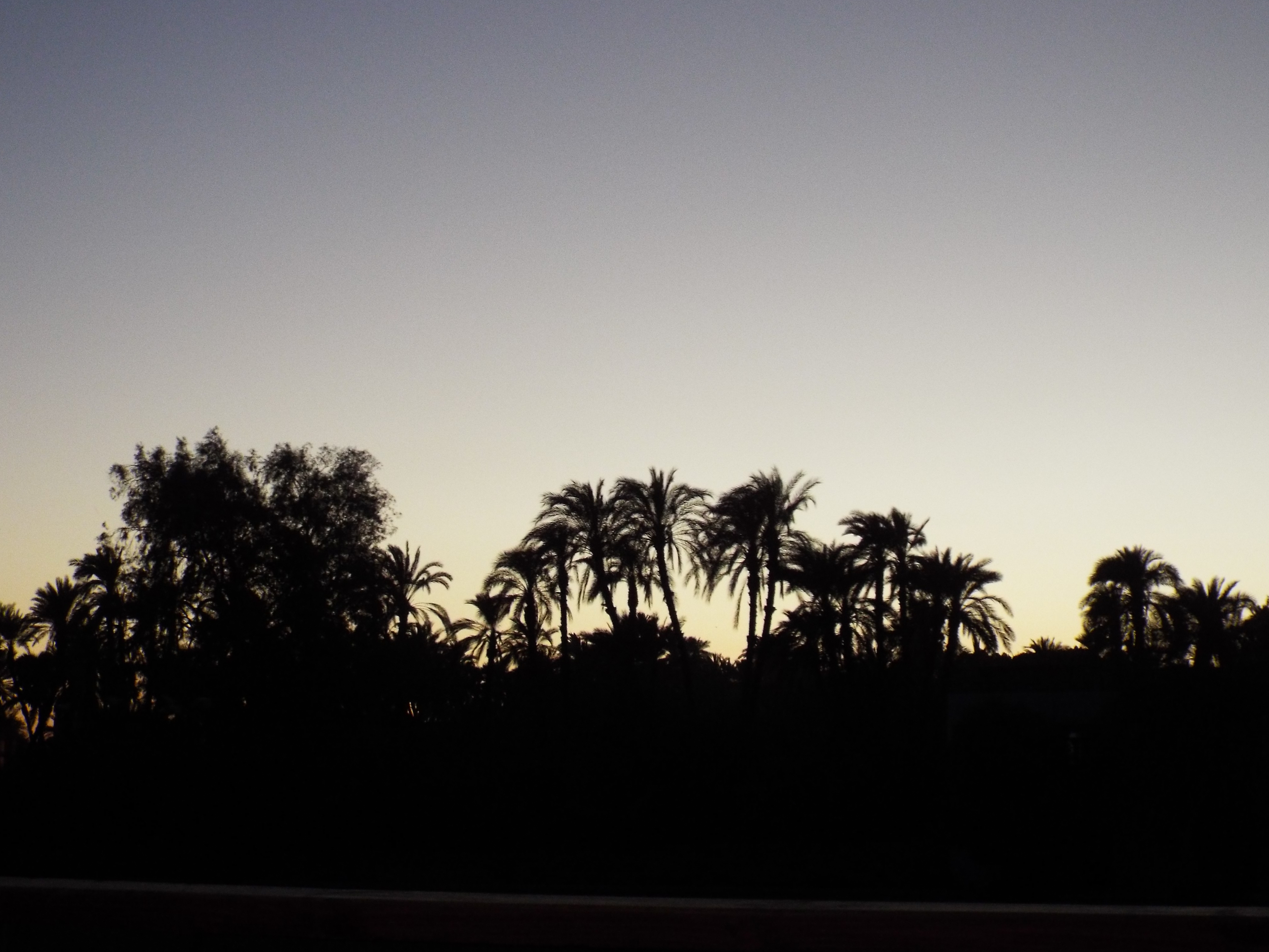 Photo from 2015
