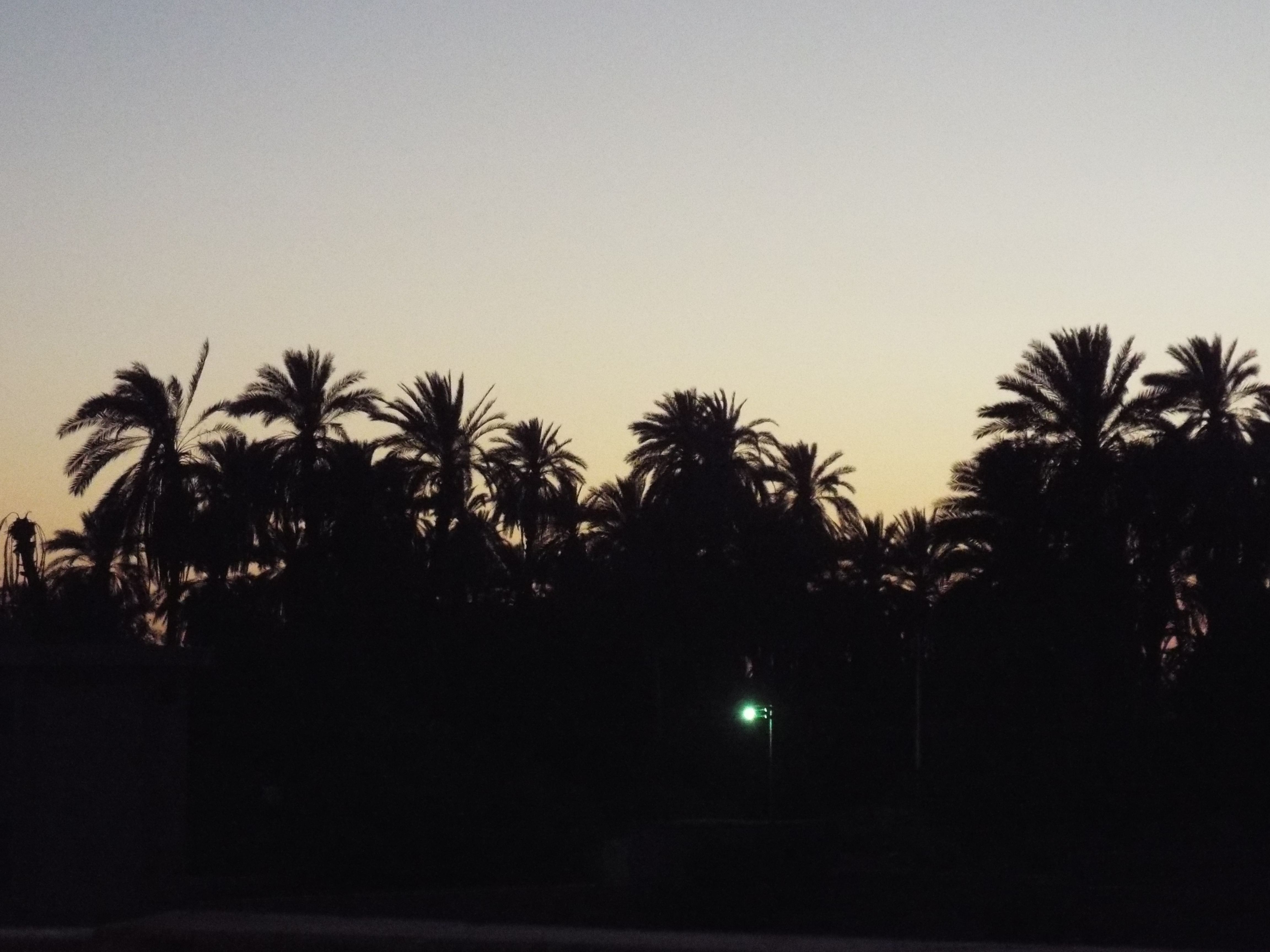 Photo from 2015