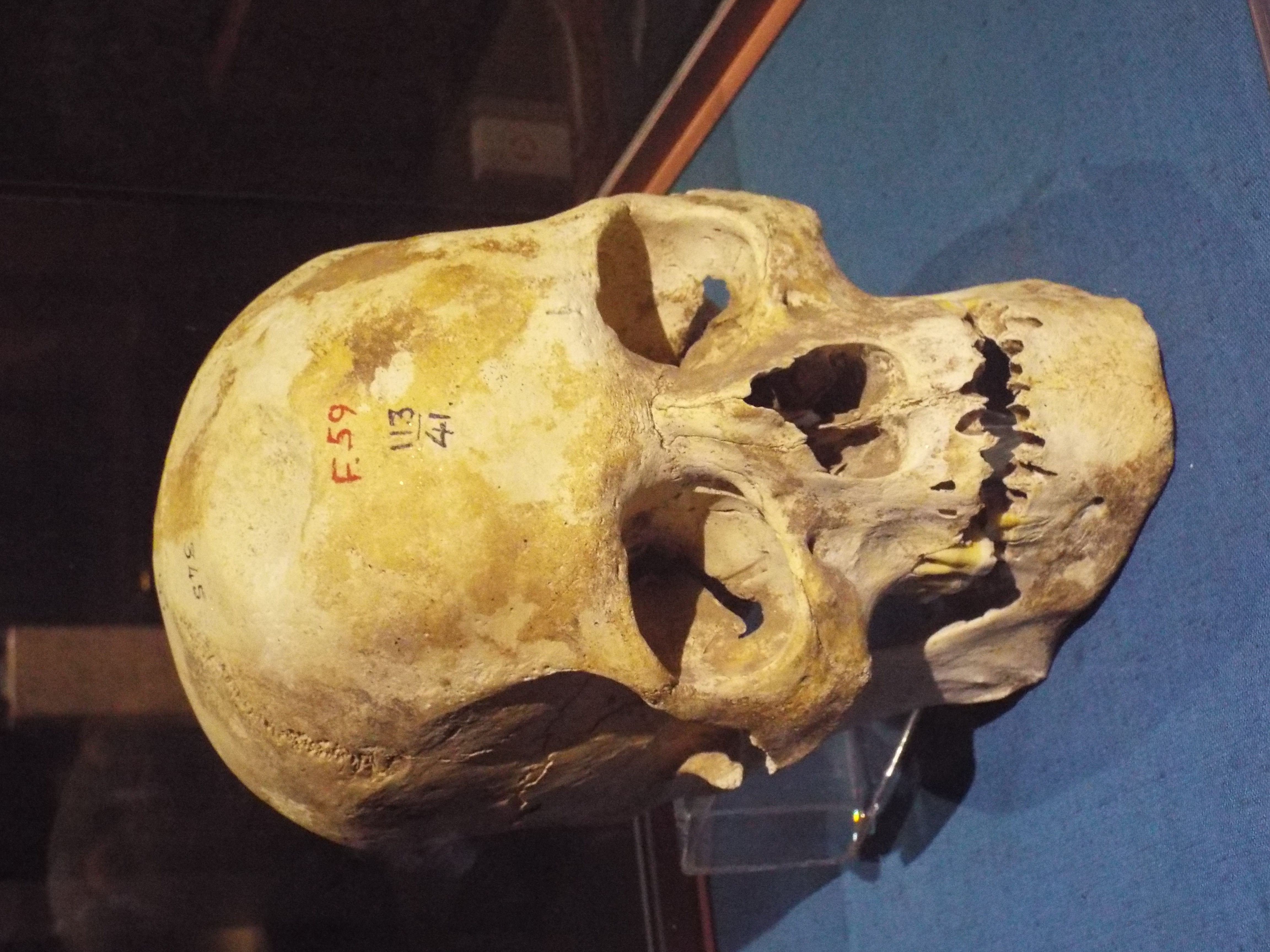 Photo from 2015
