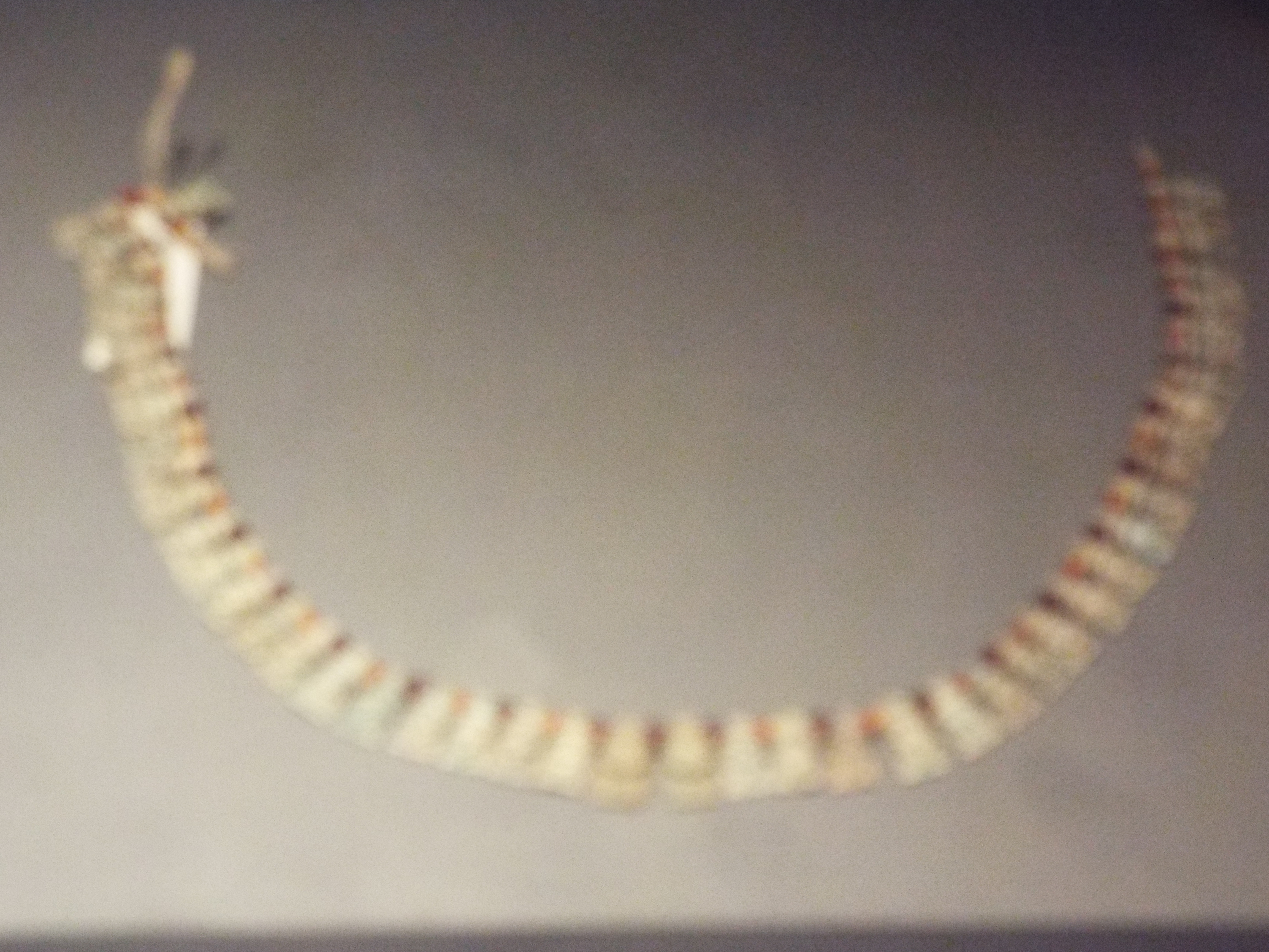 Photo from 2015