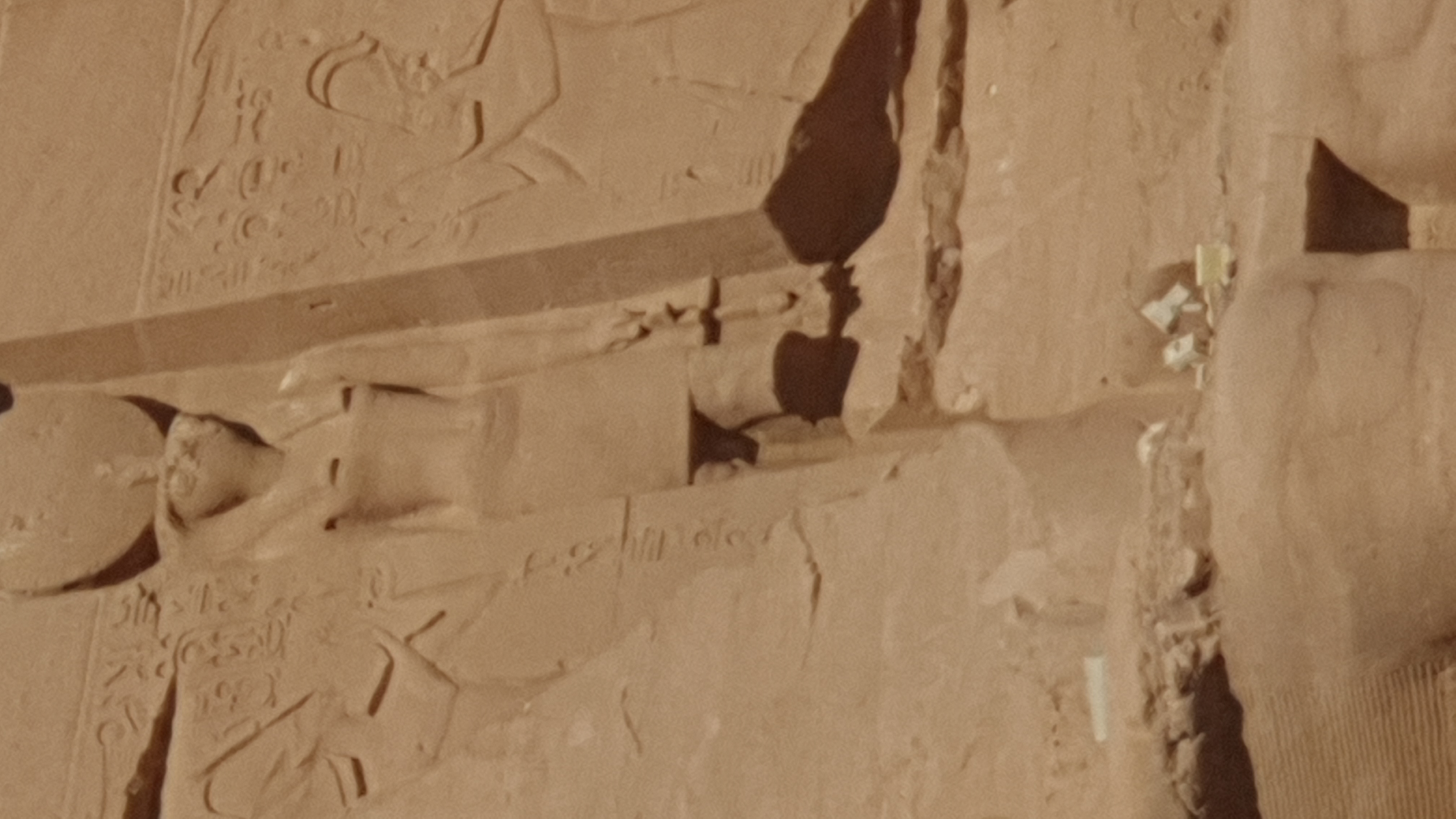 Photo from 2019