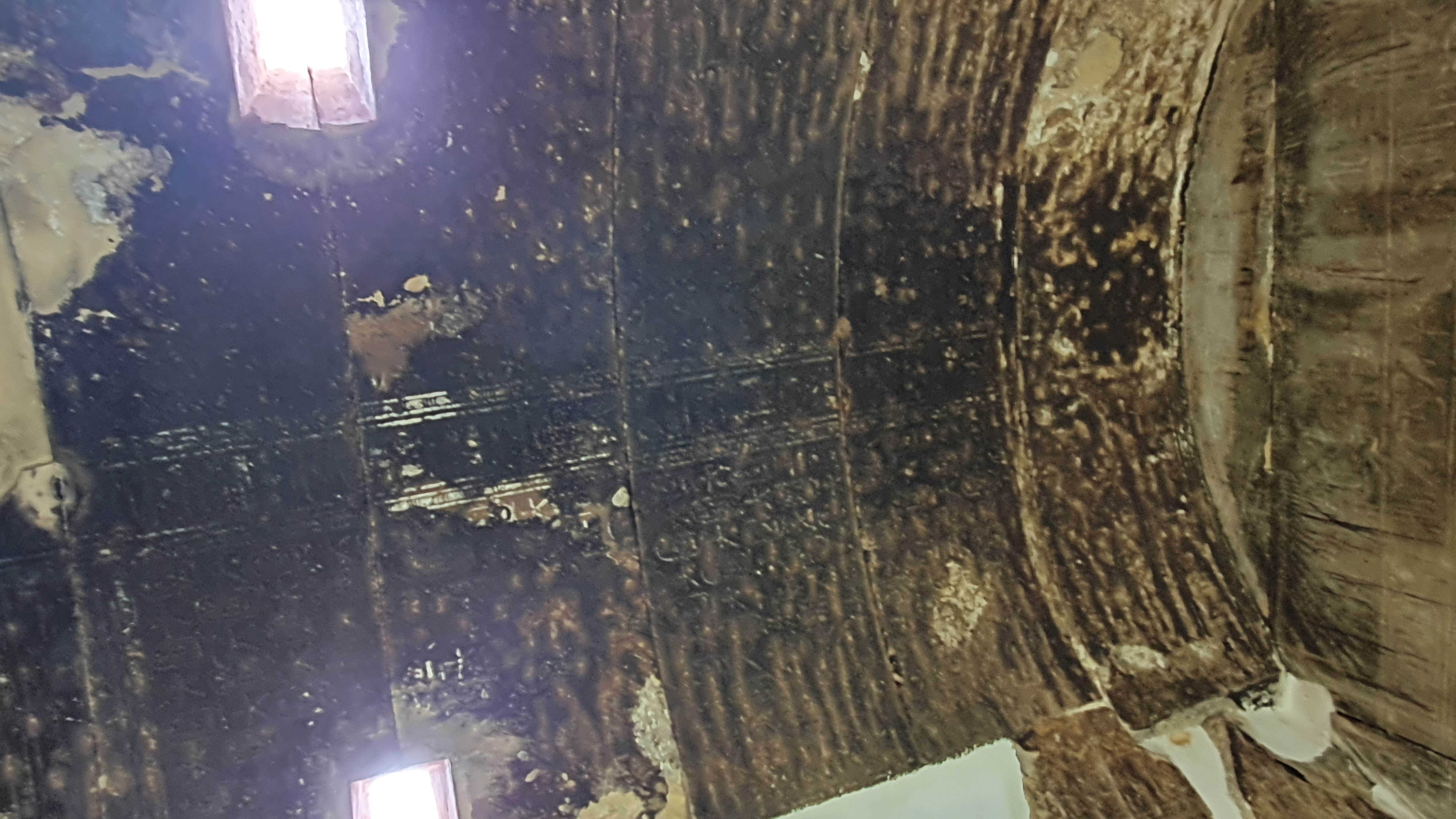 Photo from 2019