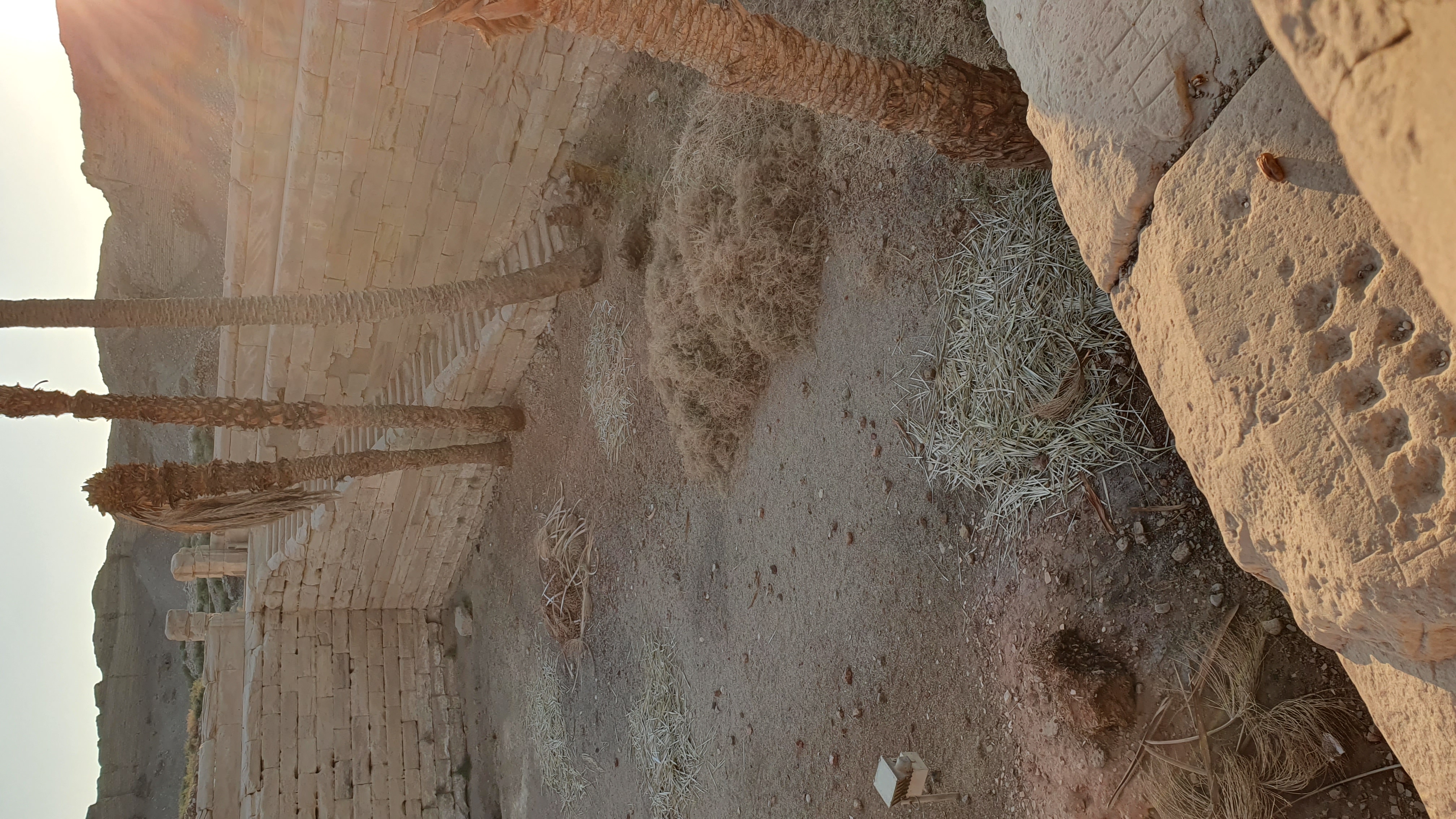Photo from 2019