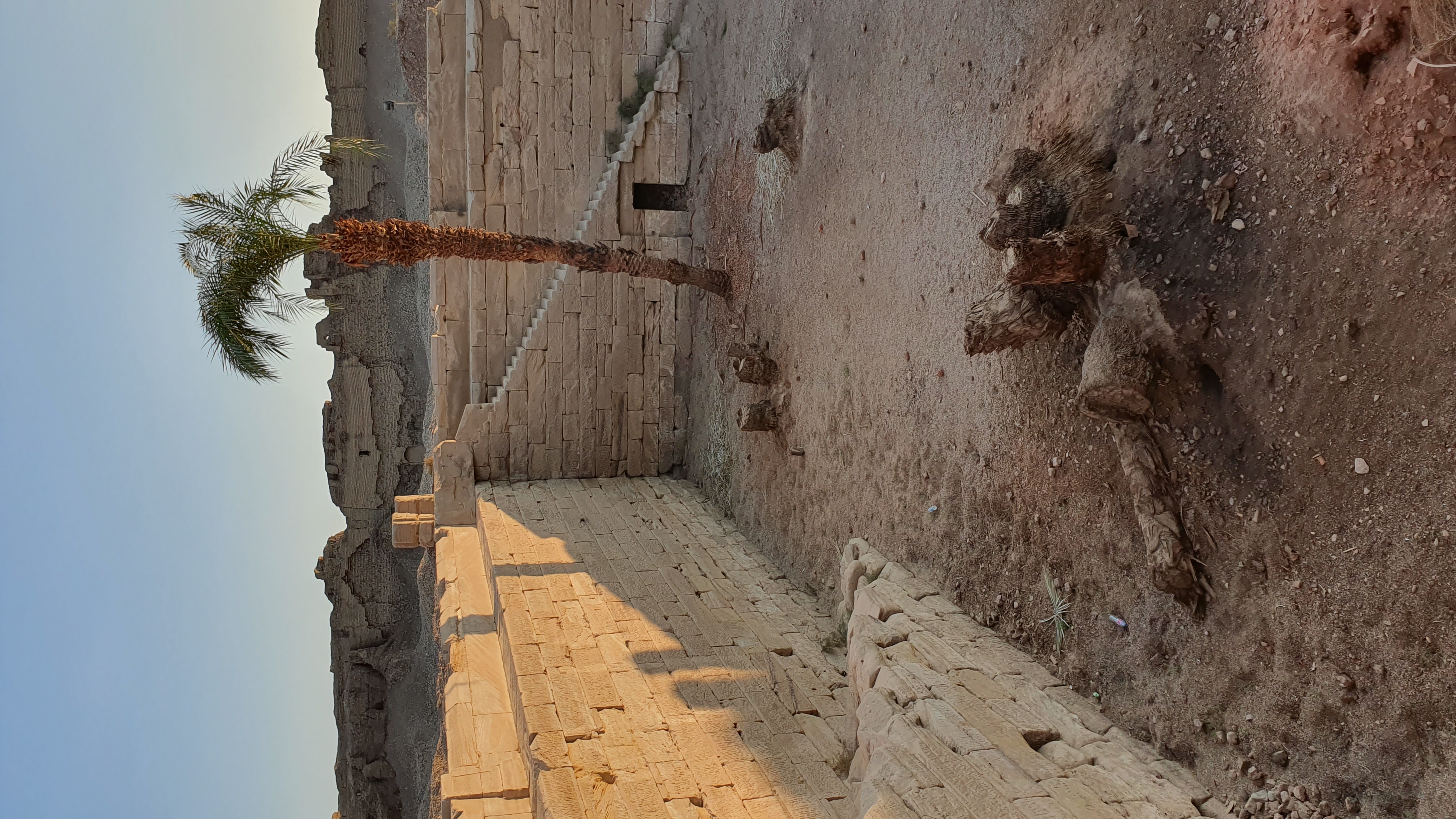 Photo from 2019