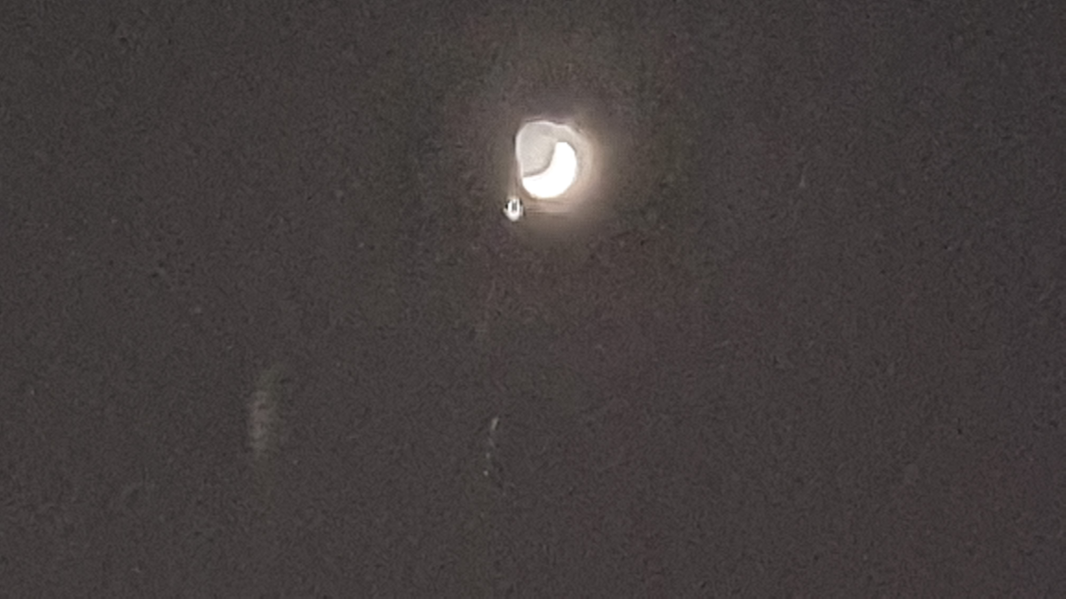 Photo from 2019