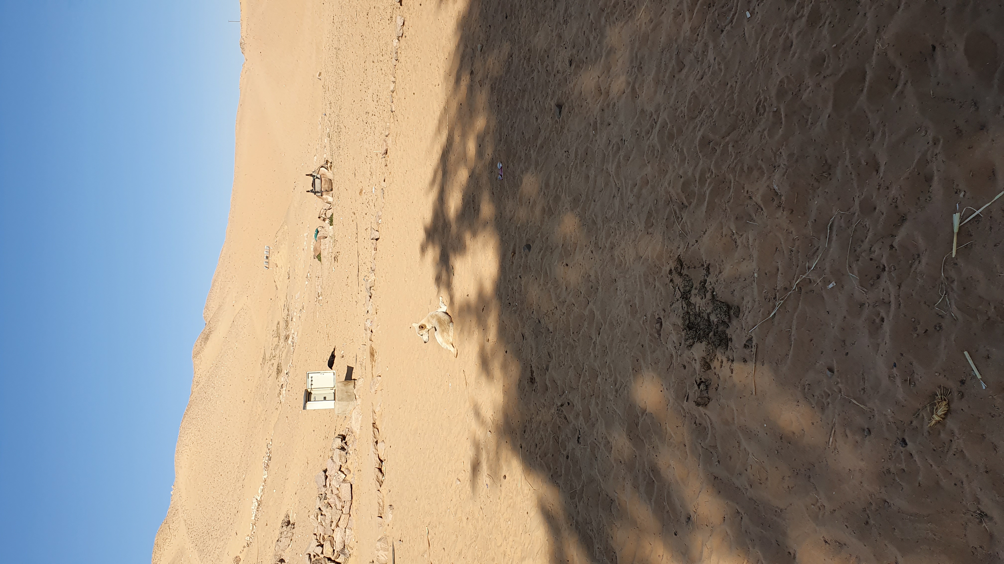 Photo from 2019