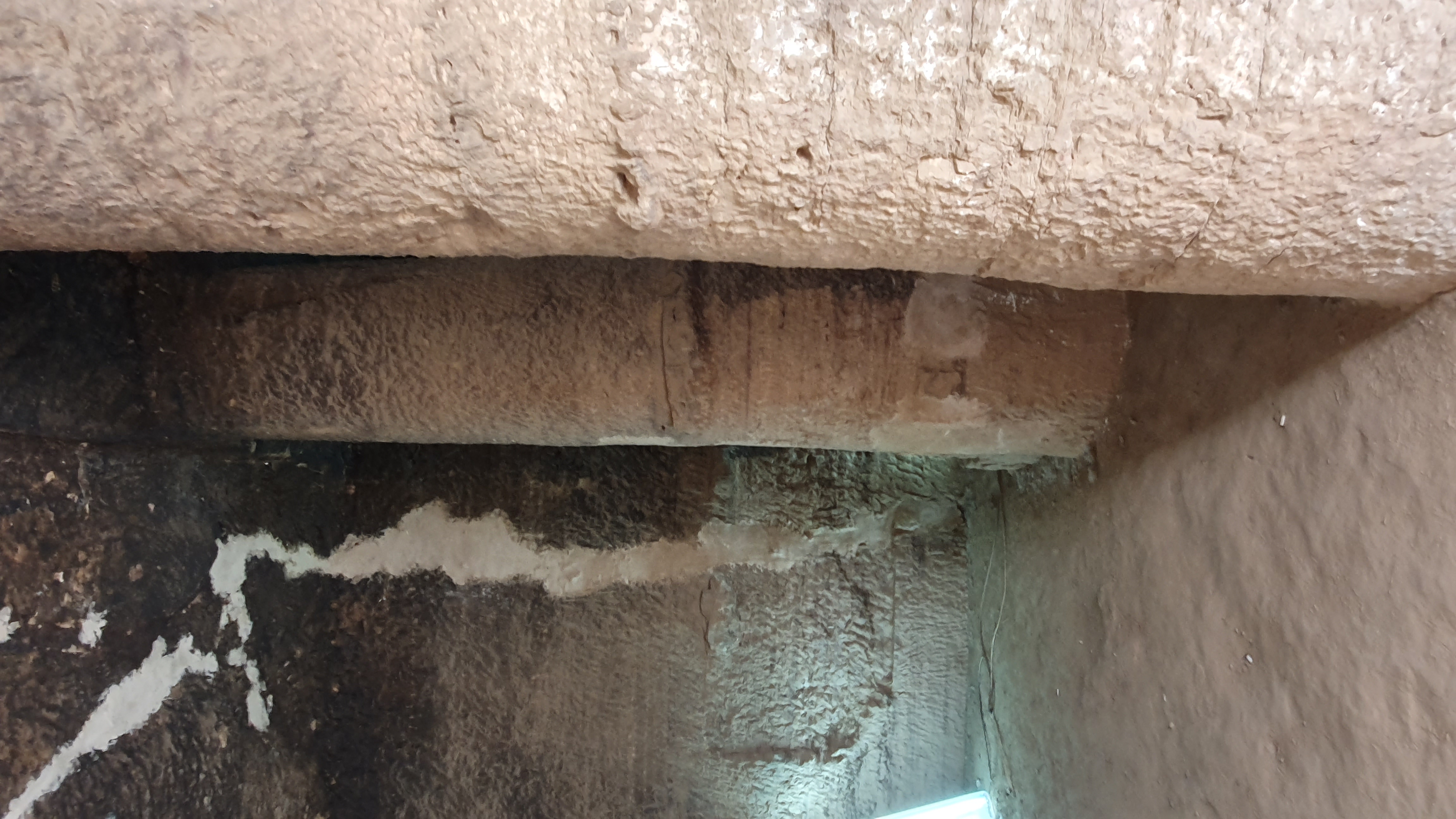 Photo from 2019