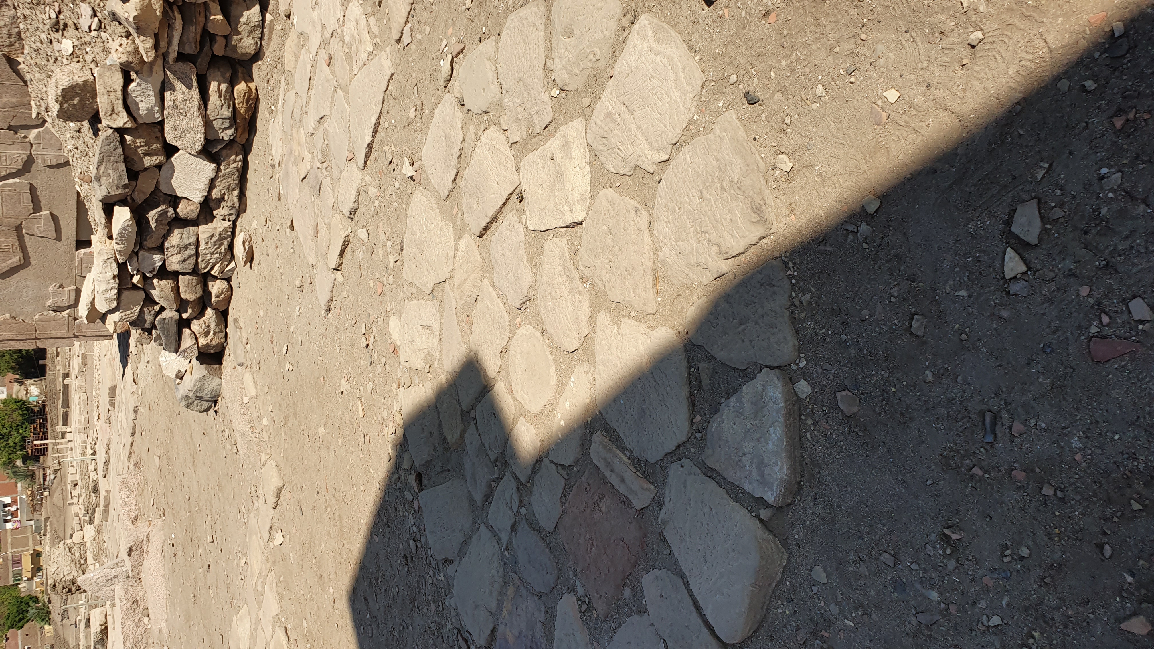 Photo from 2019