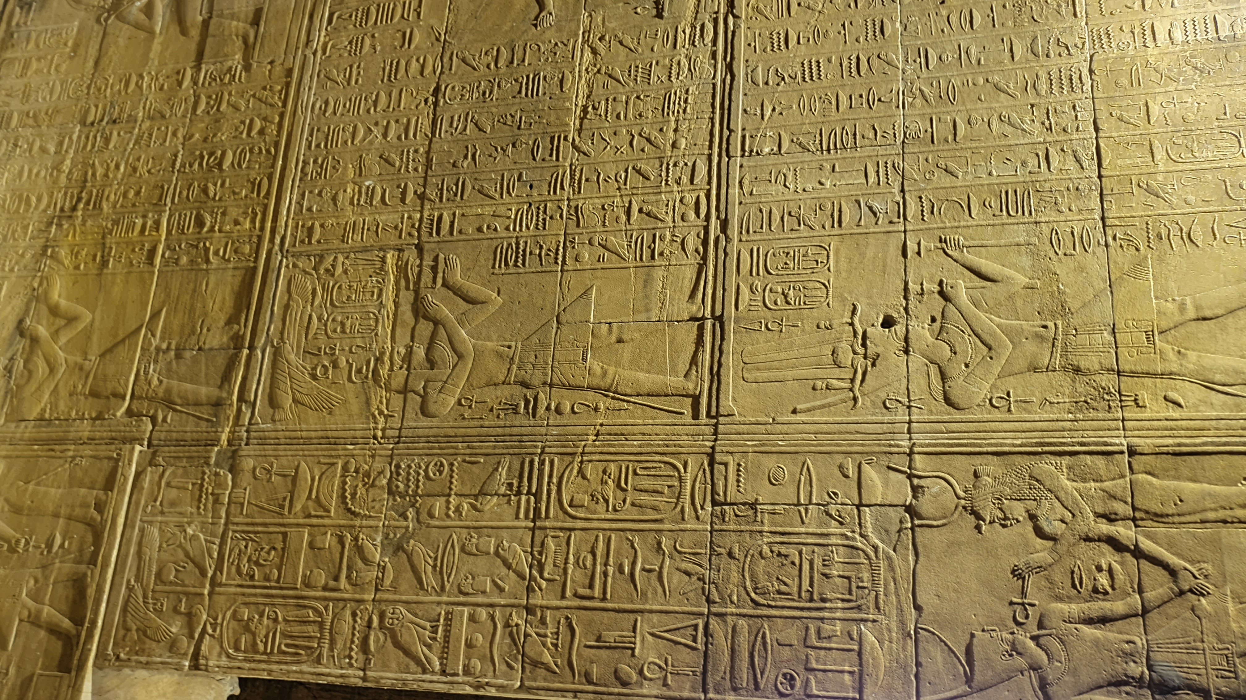Photo from 2019