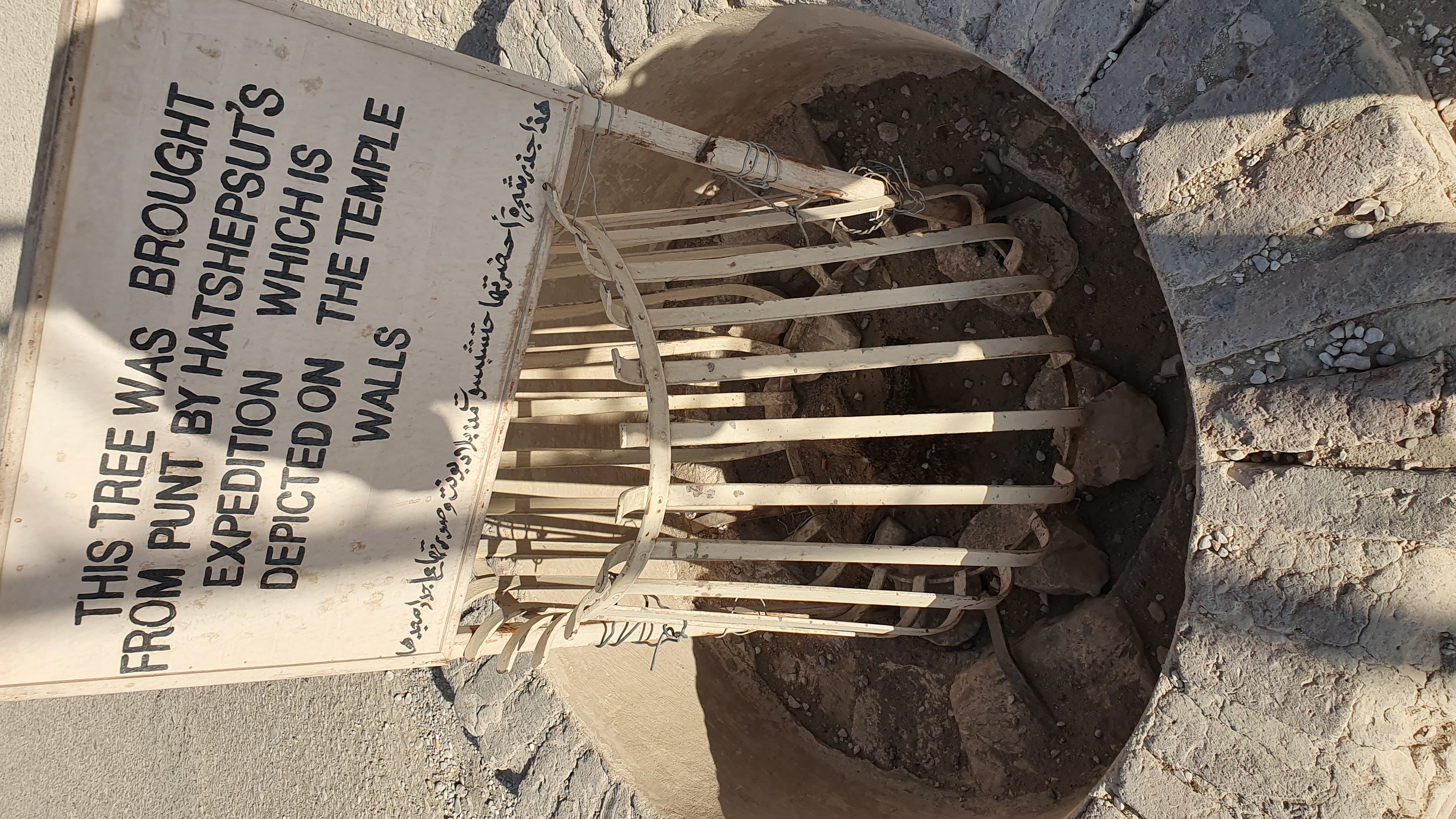Photo from 2019