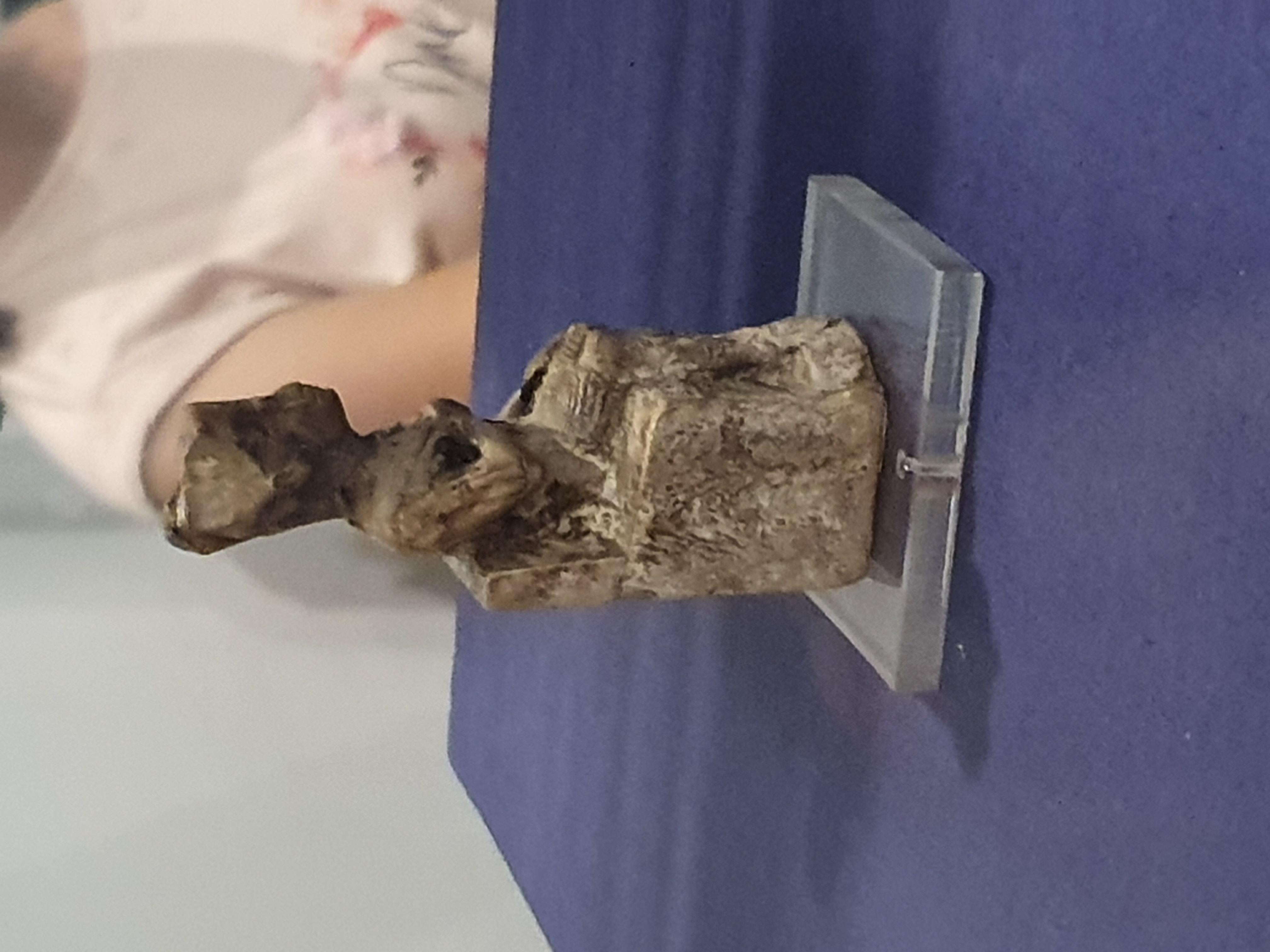 Photo from 2019