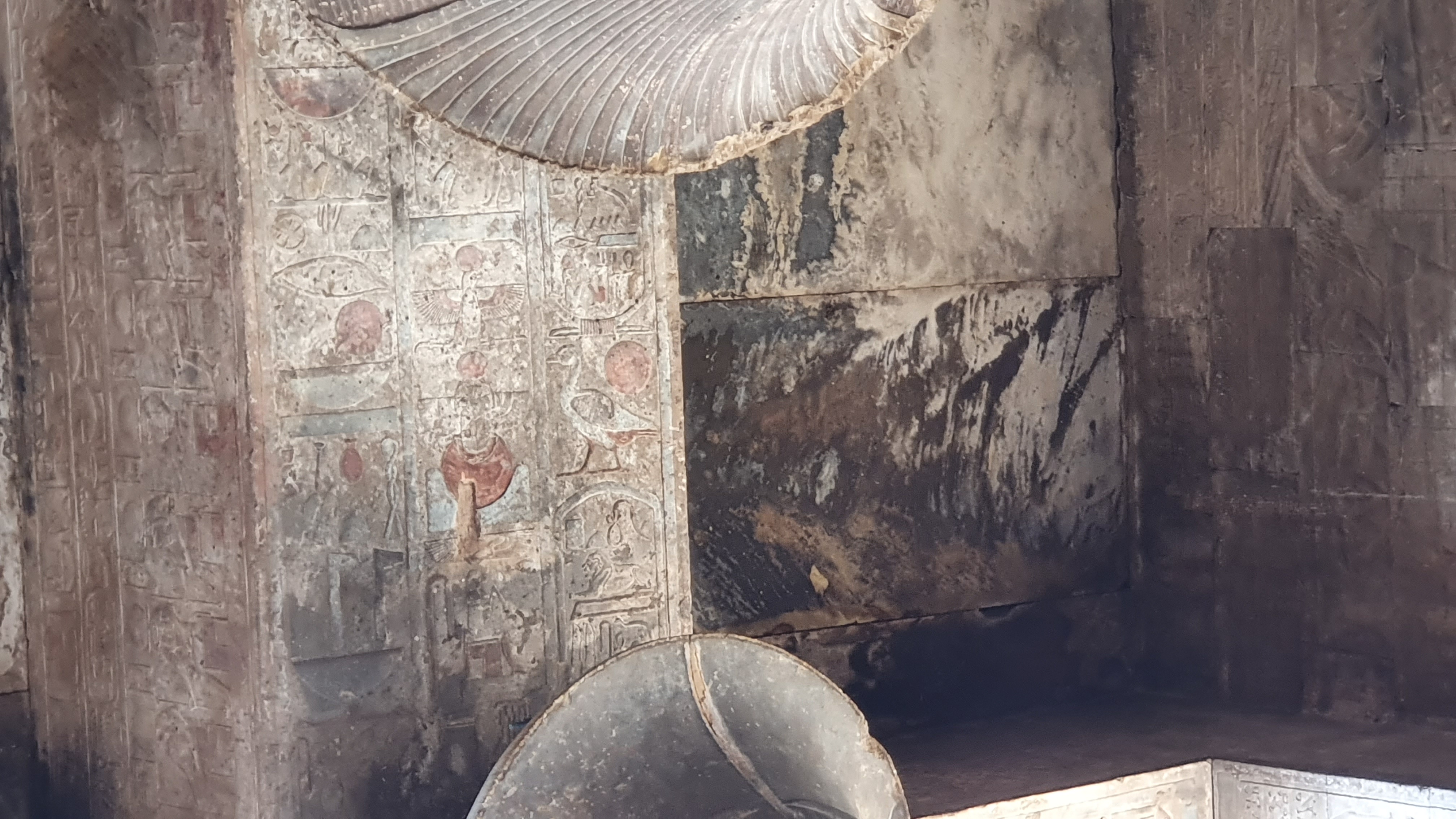 Photo from 2019