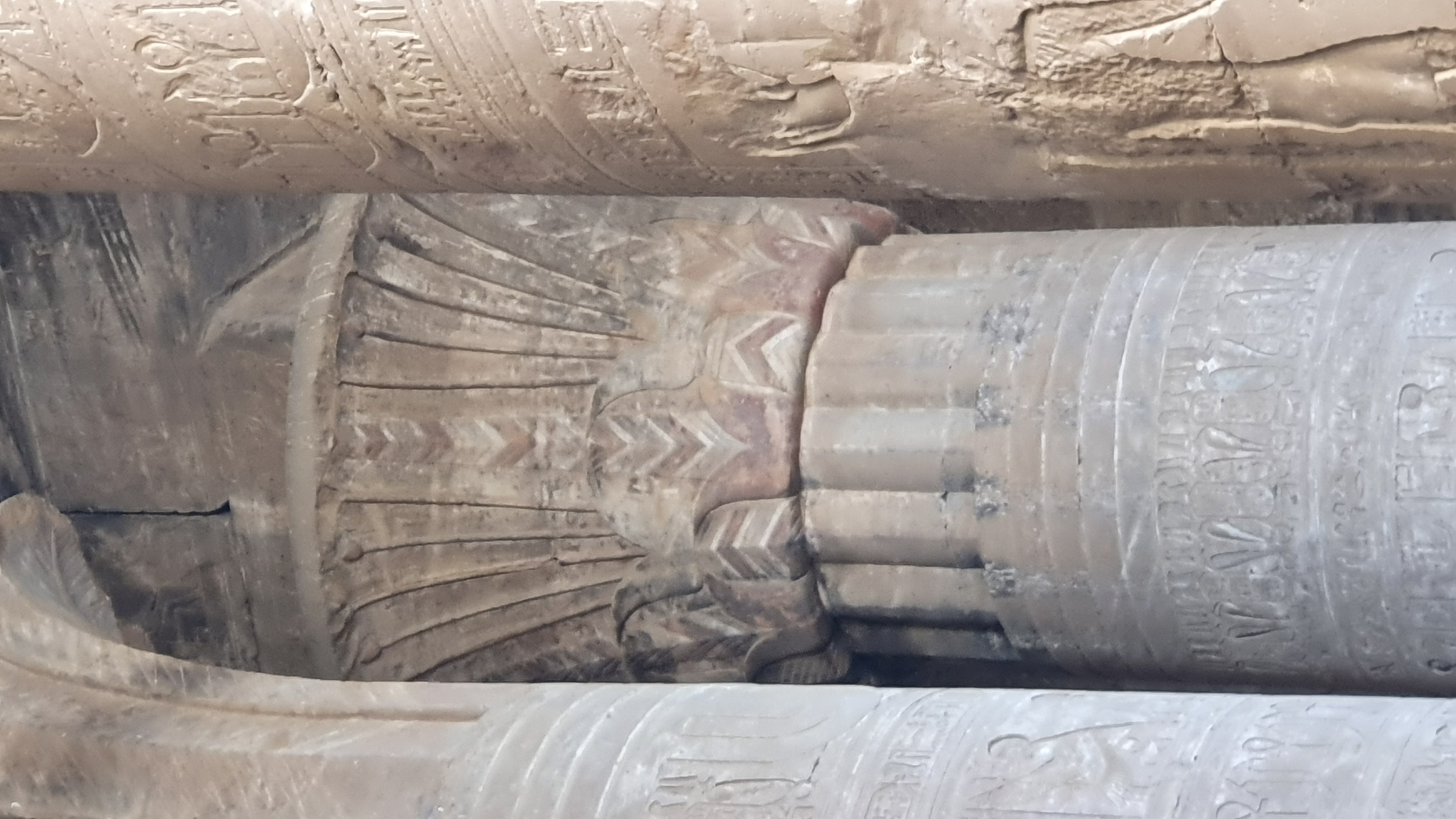 Photo from 2019