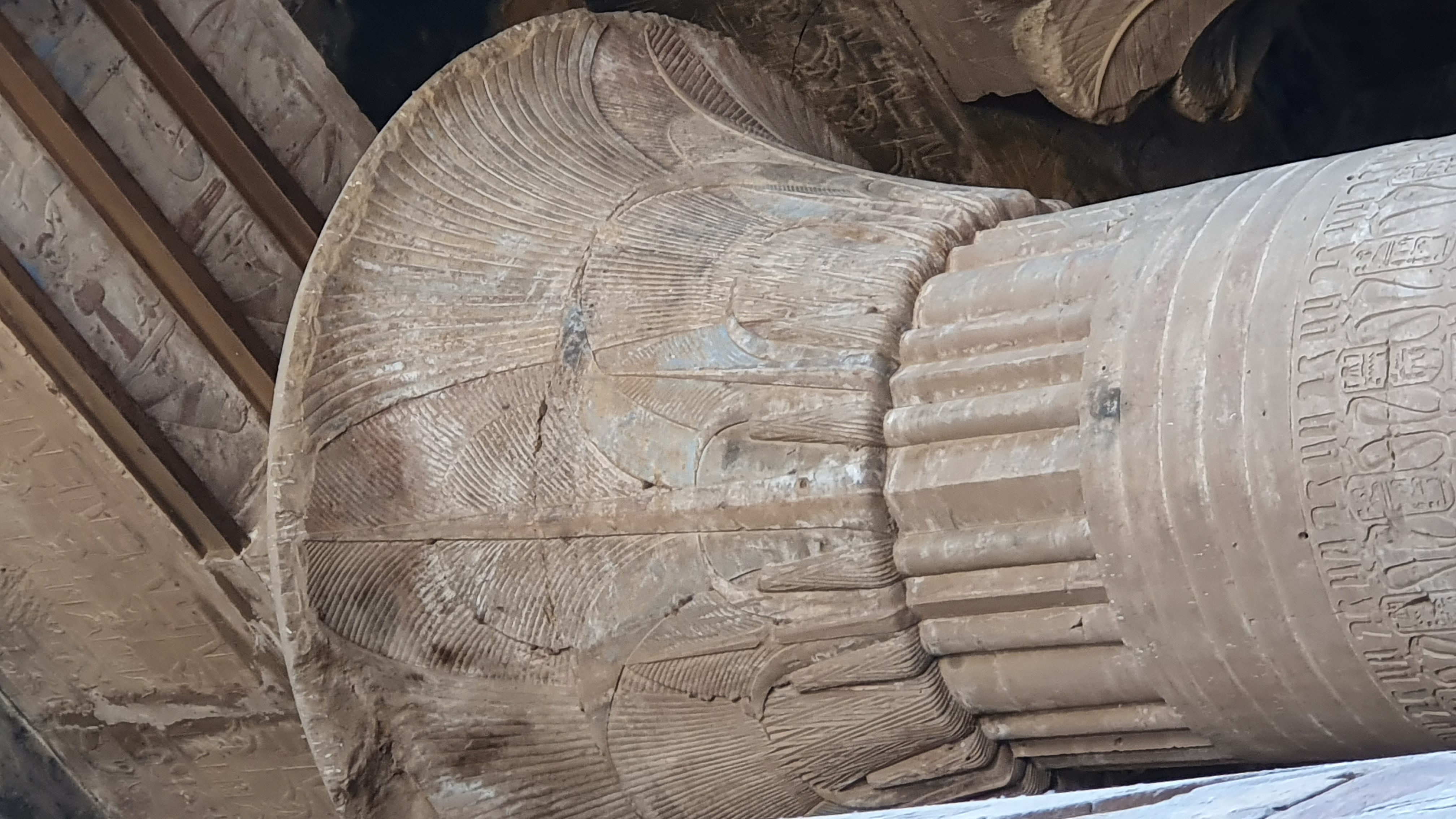 Photo from 2019