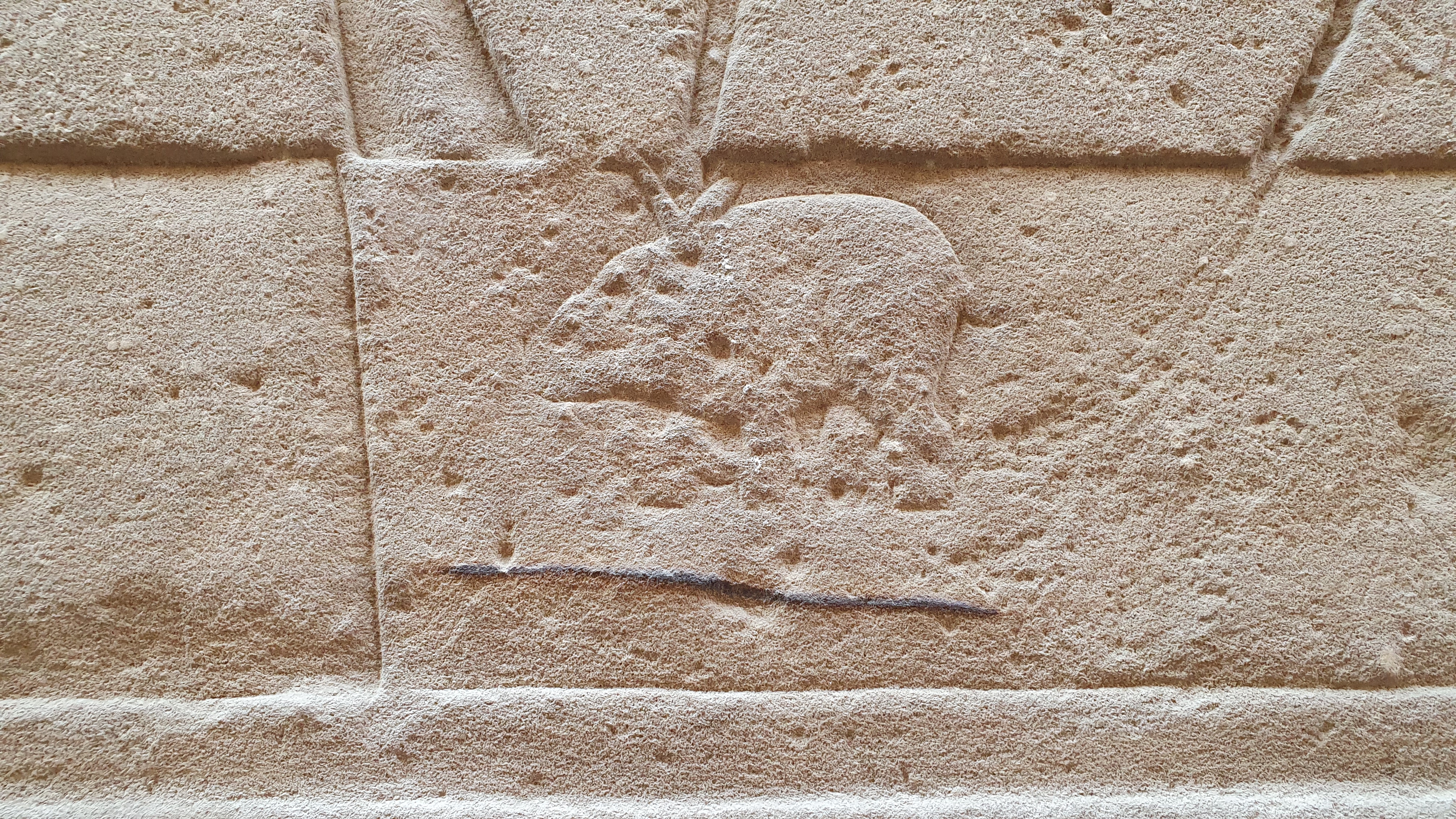Photo from 2019