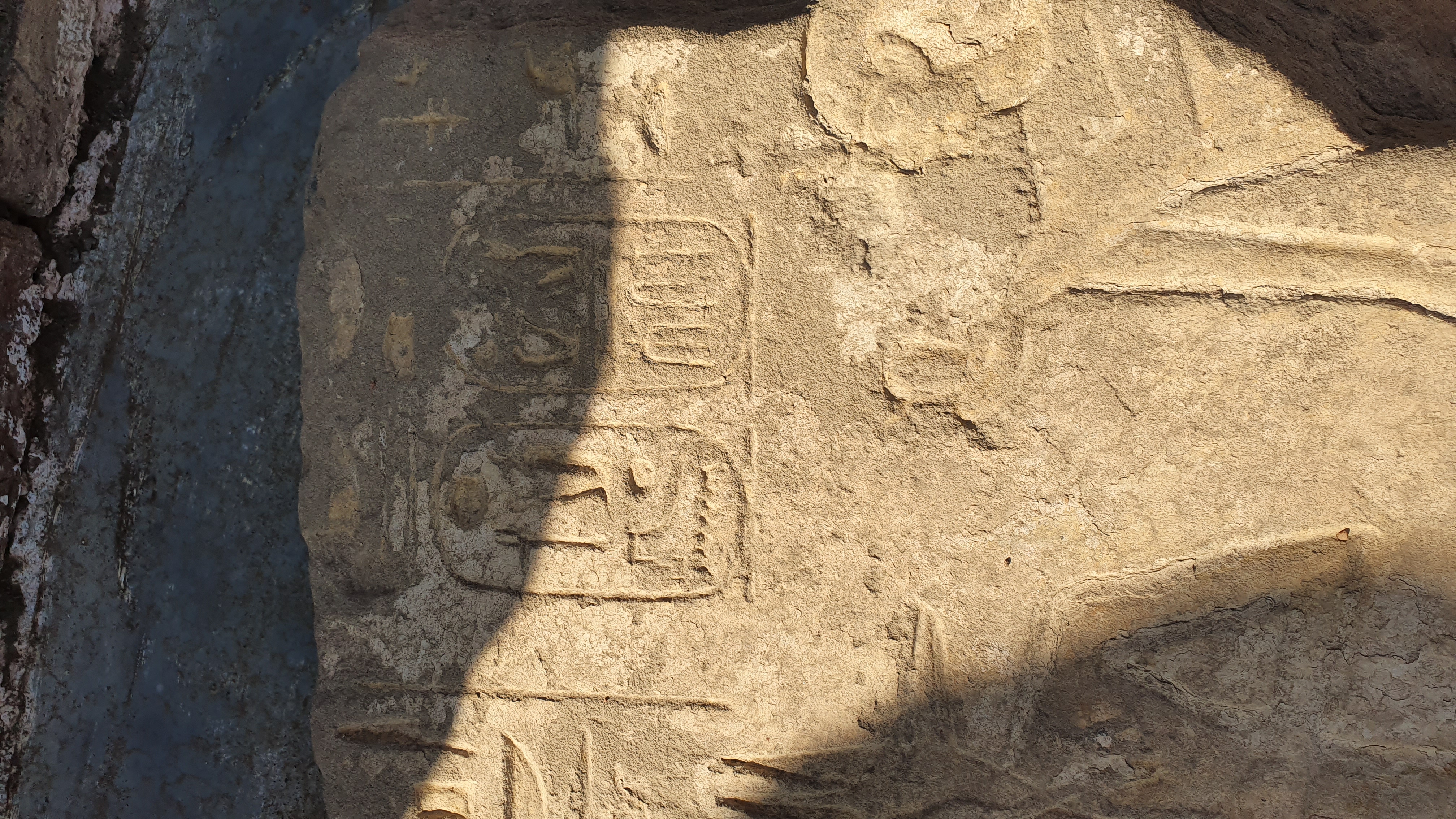 Photo from 2019
