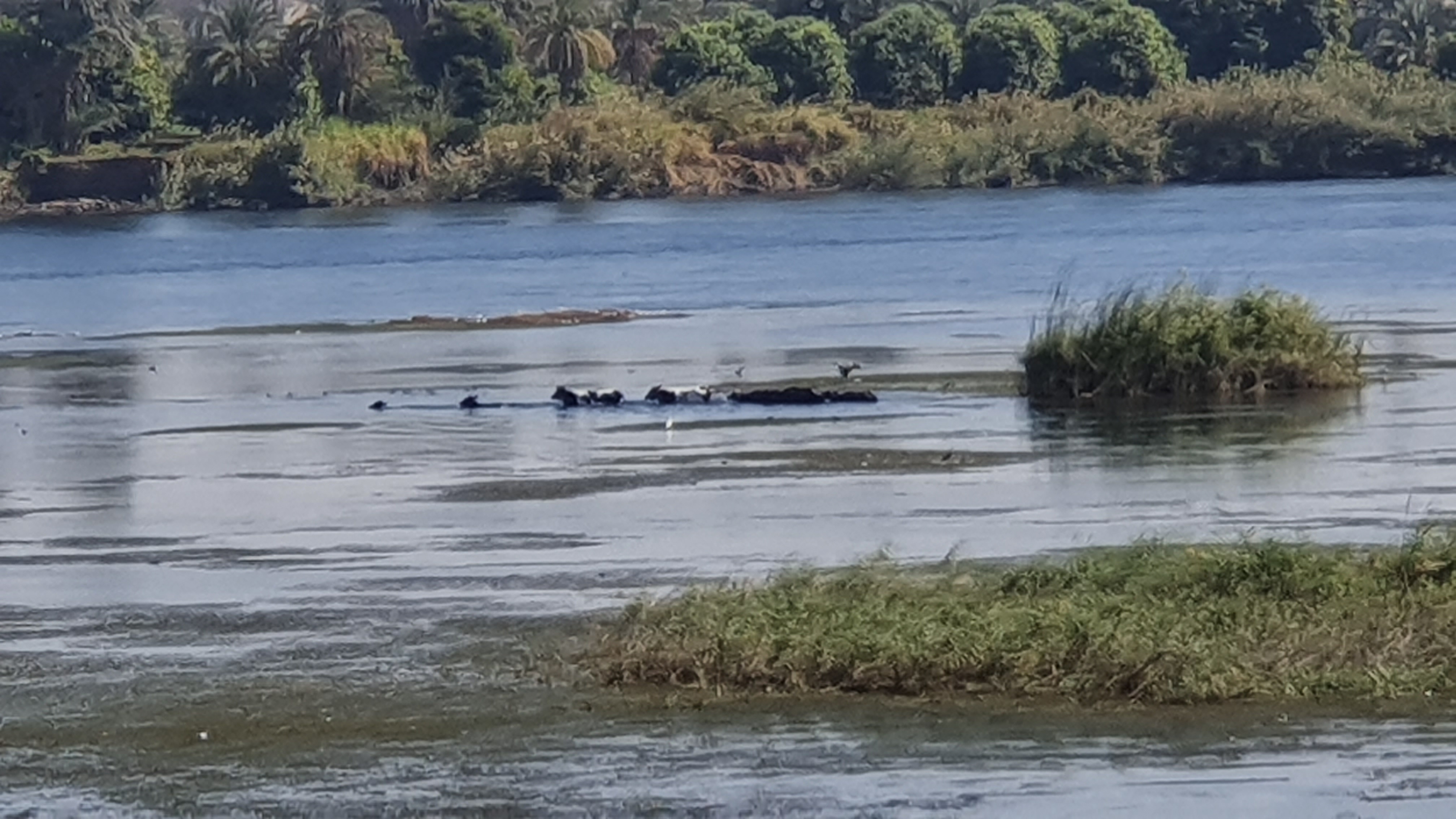 Photo from 2019