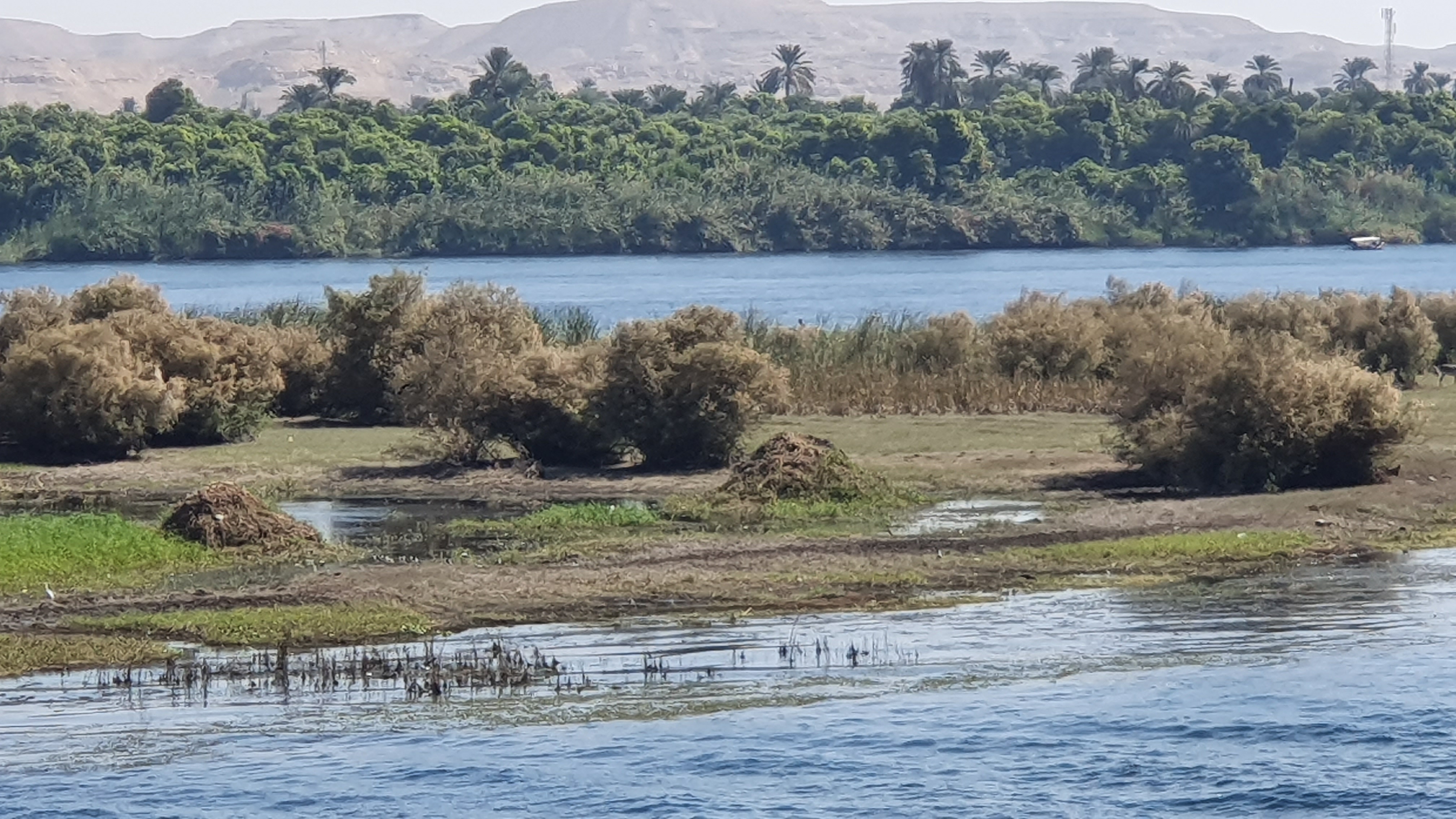 Photo from 2019
