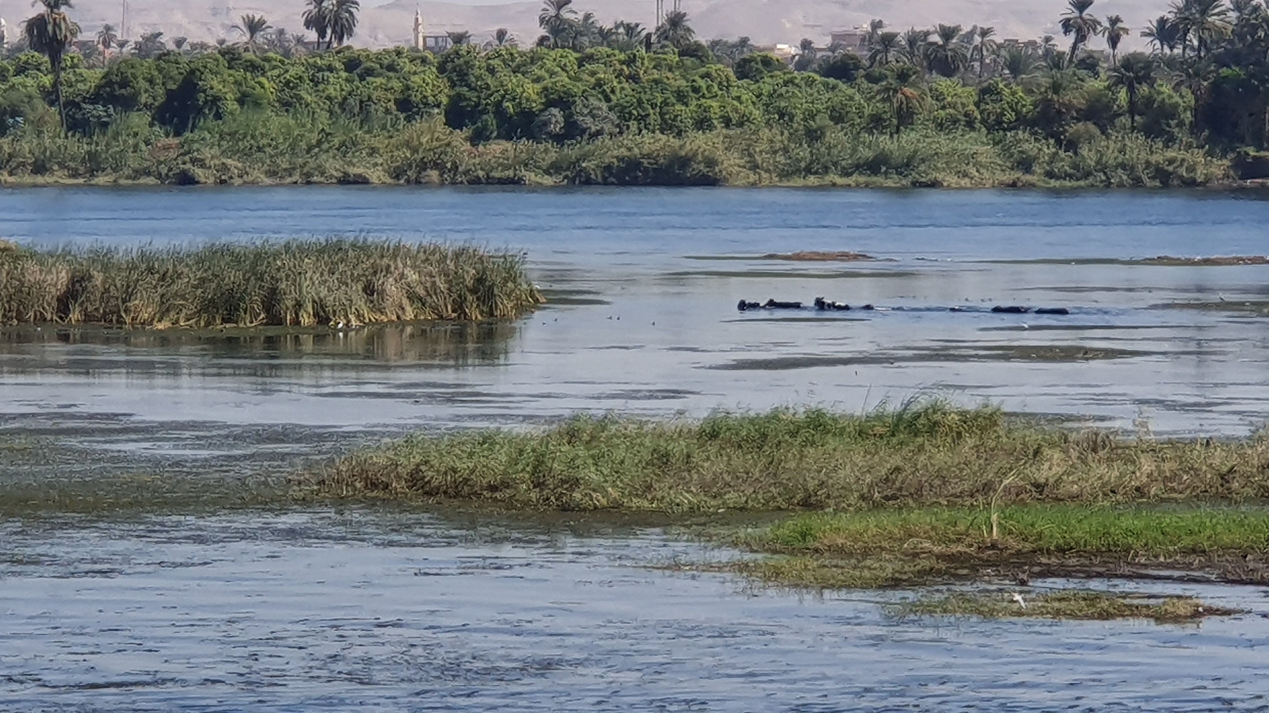 Photo from 2019