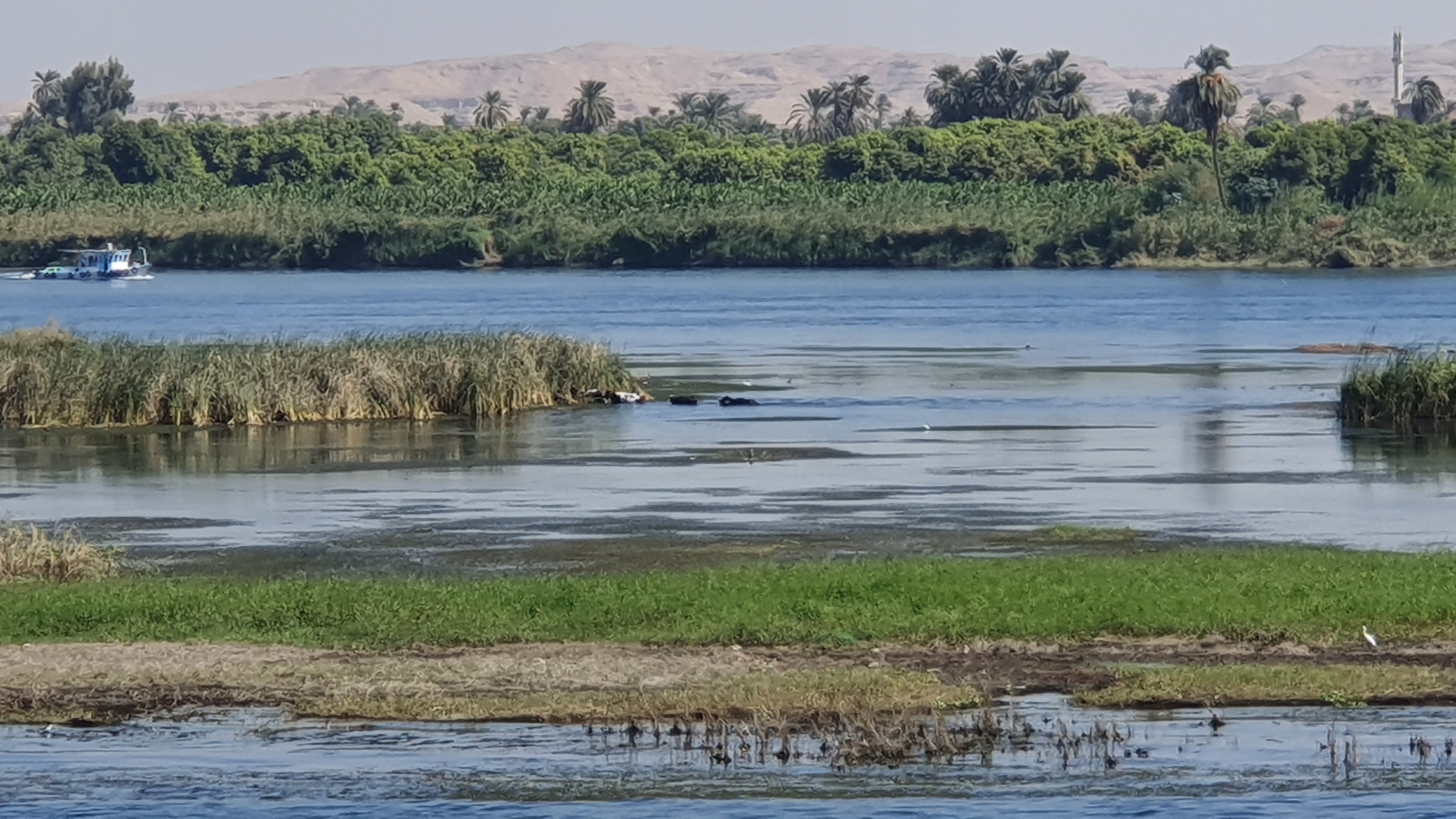 Photo from 2019