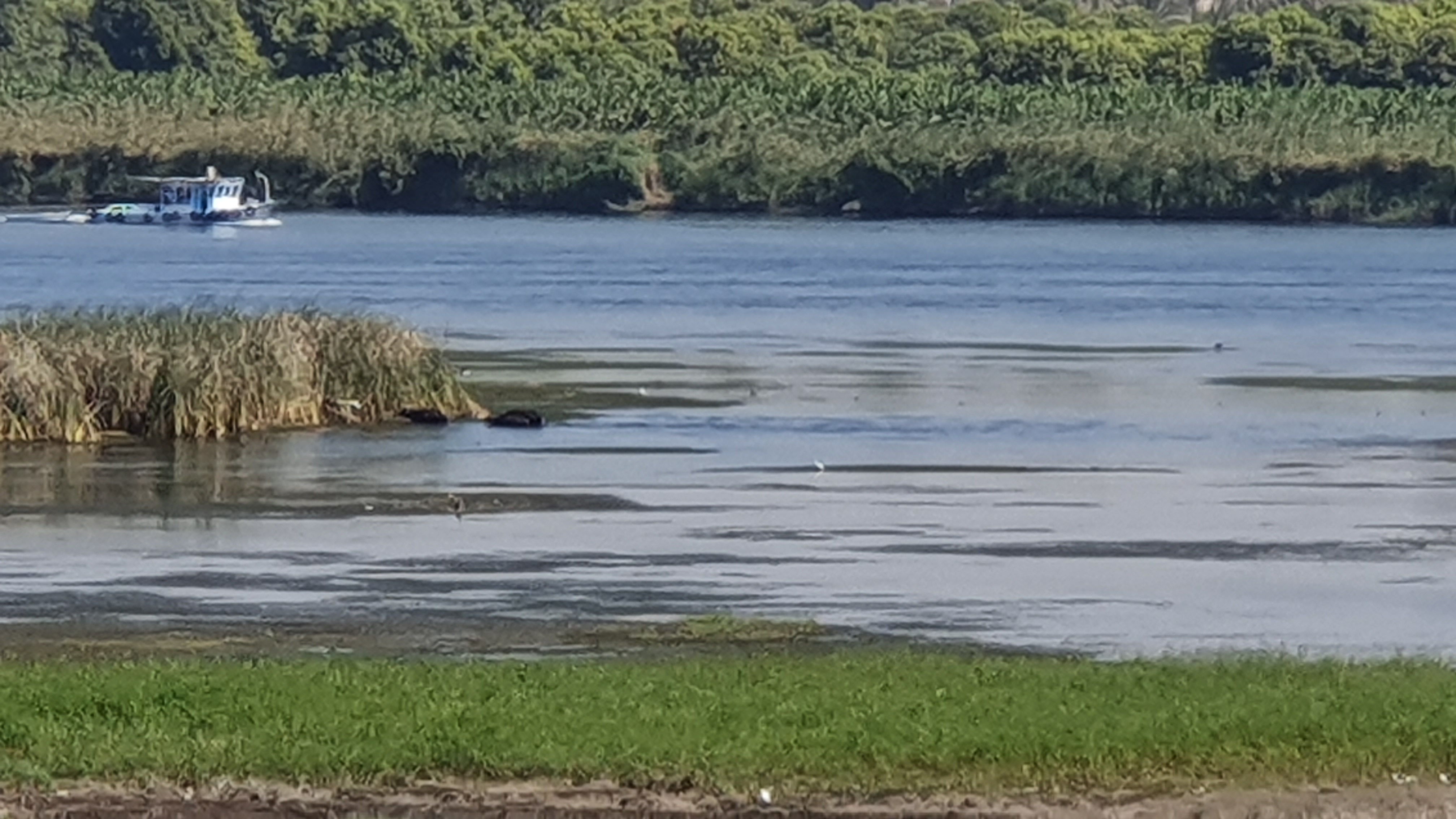 Photo from 2019