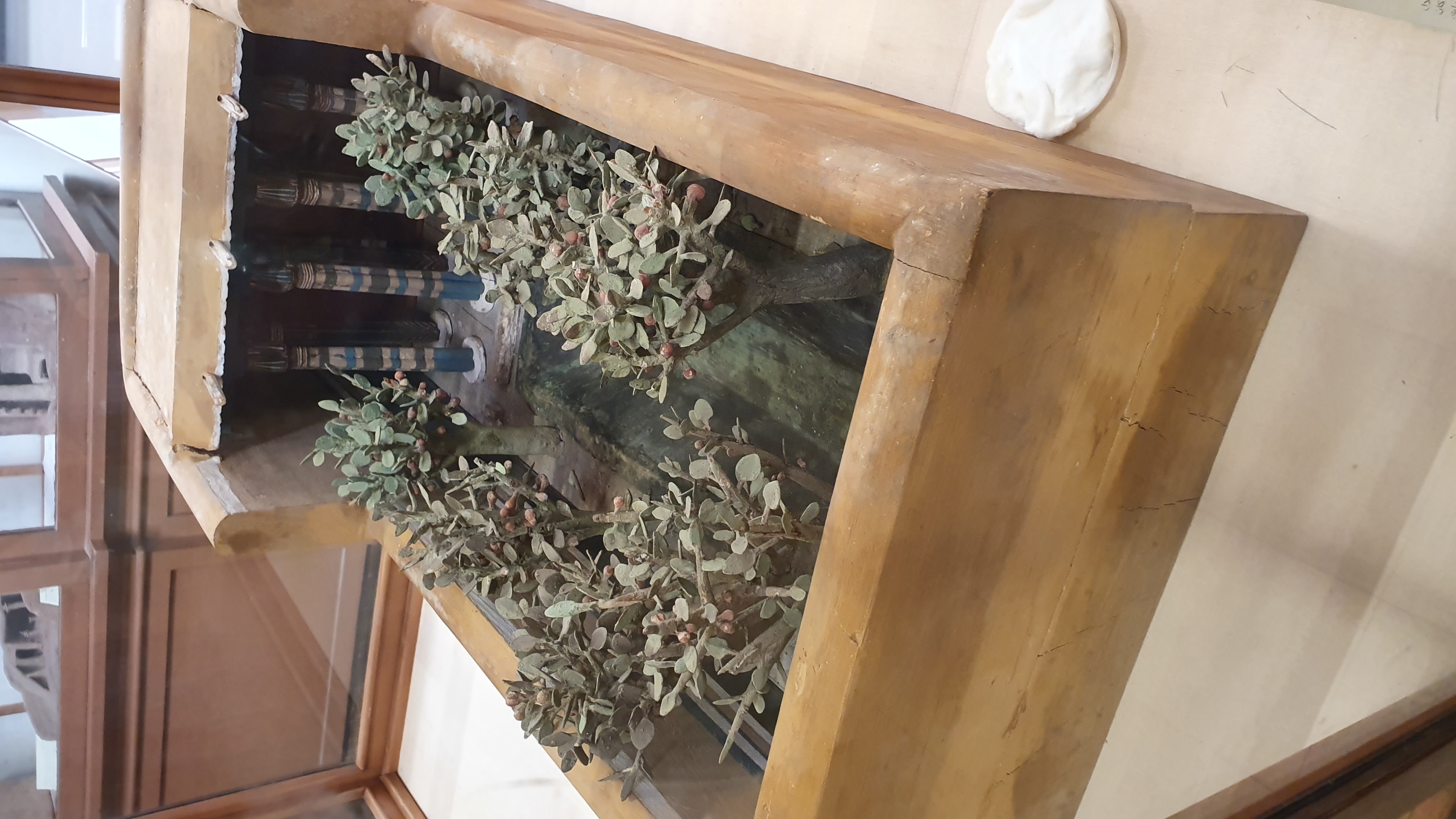 Photo from 2019