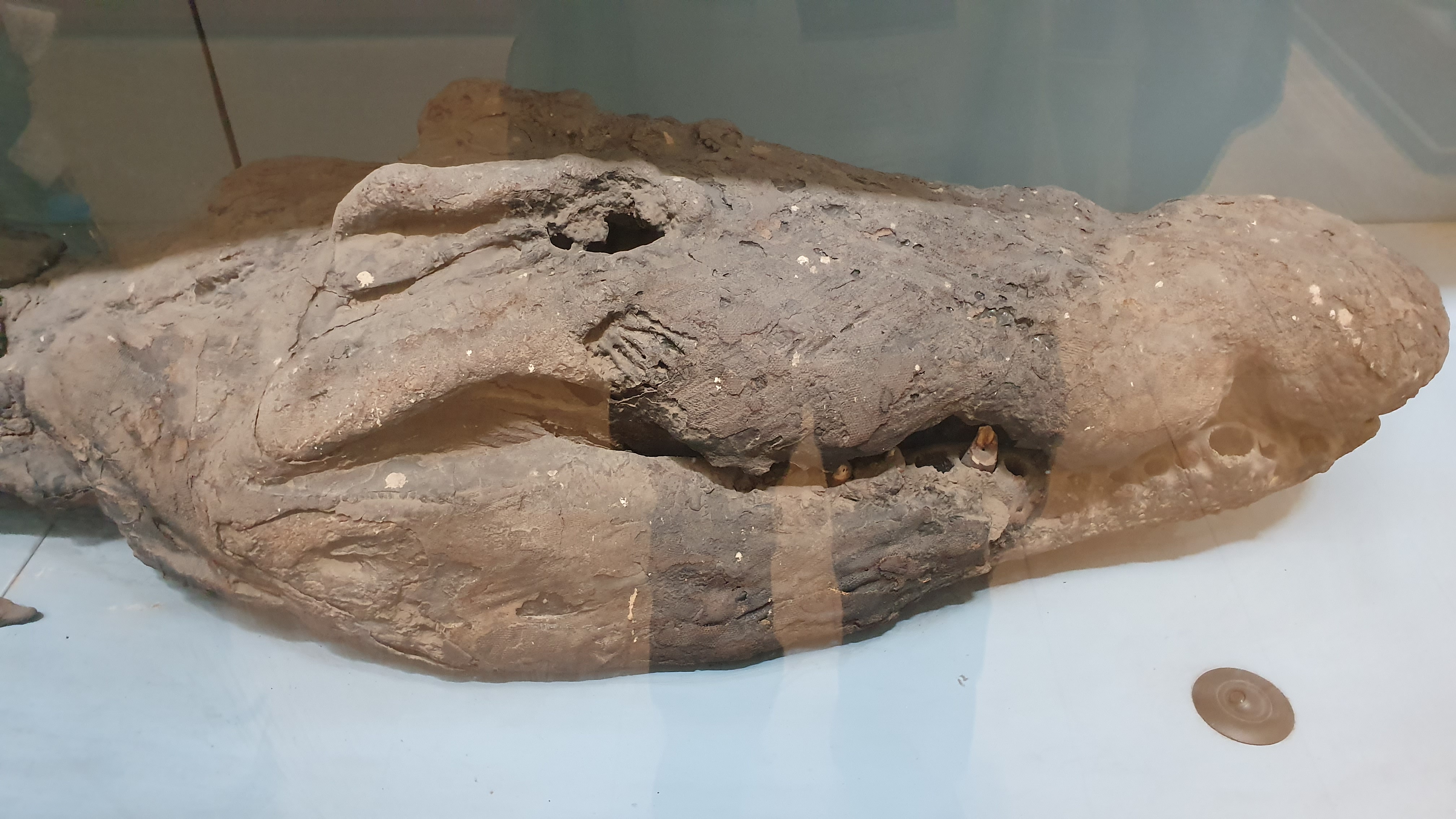 Photo from 2019