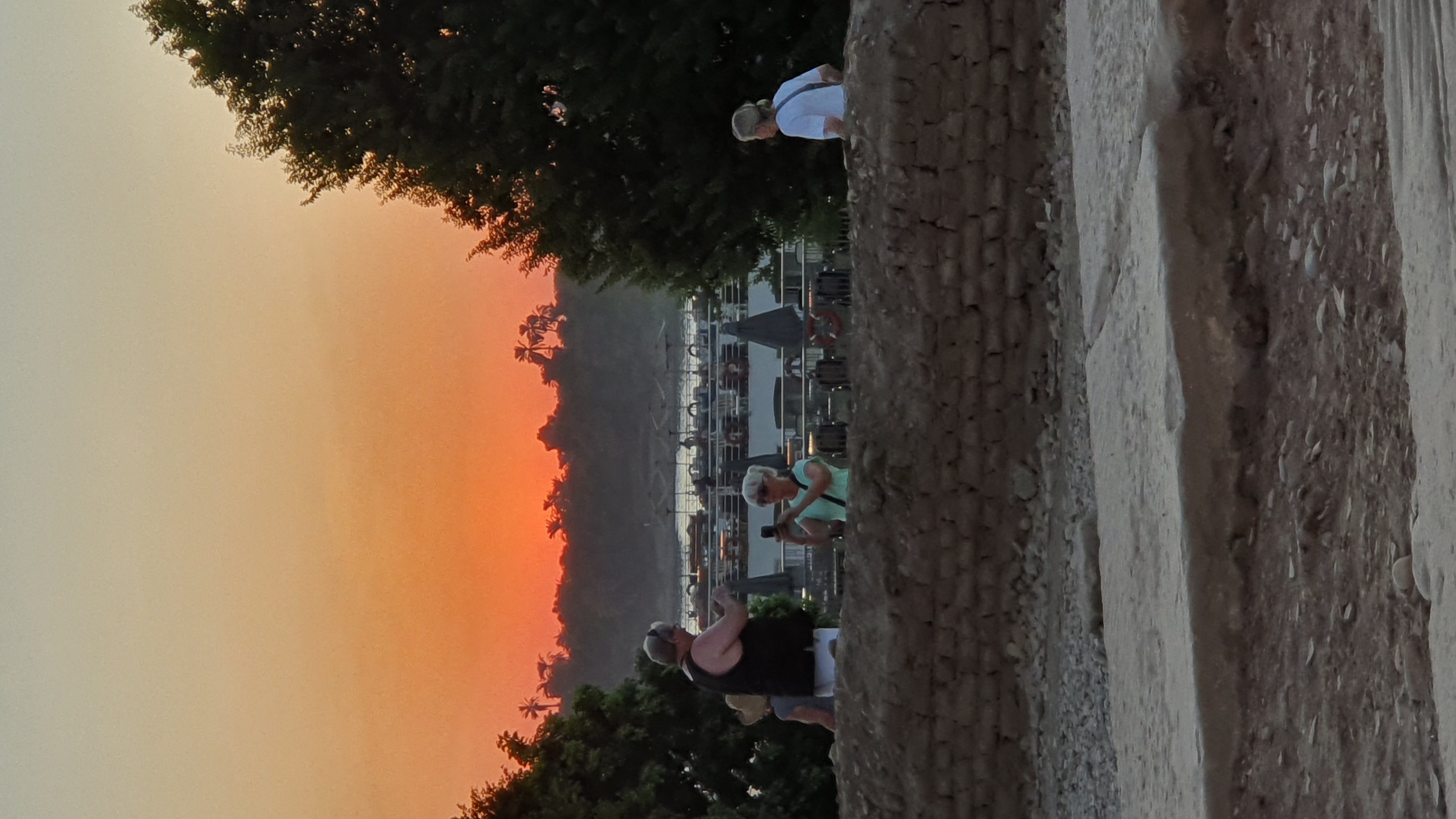 Photo from 2019