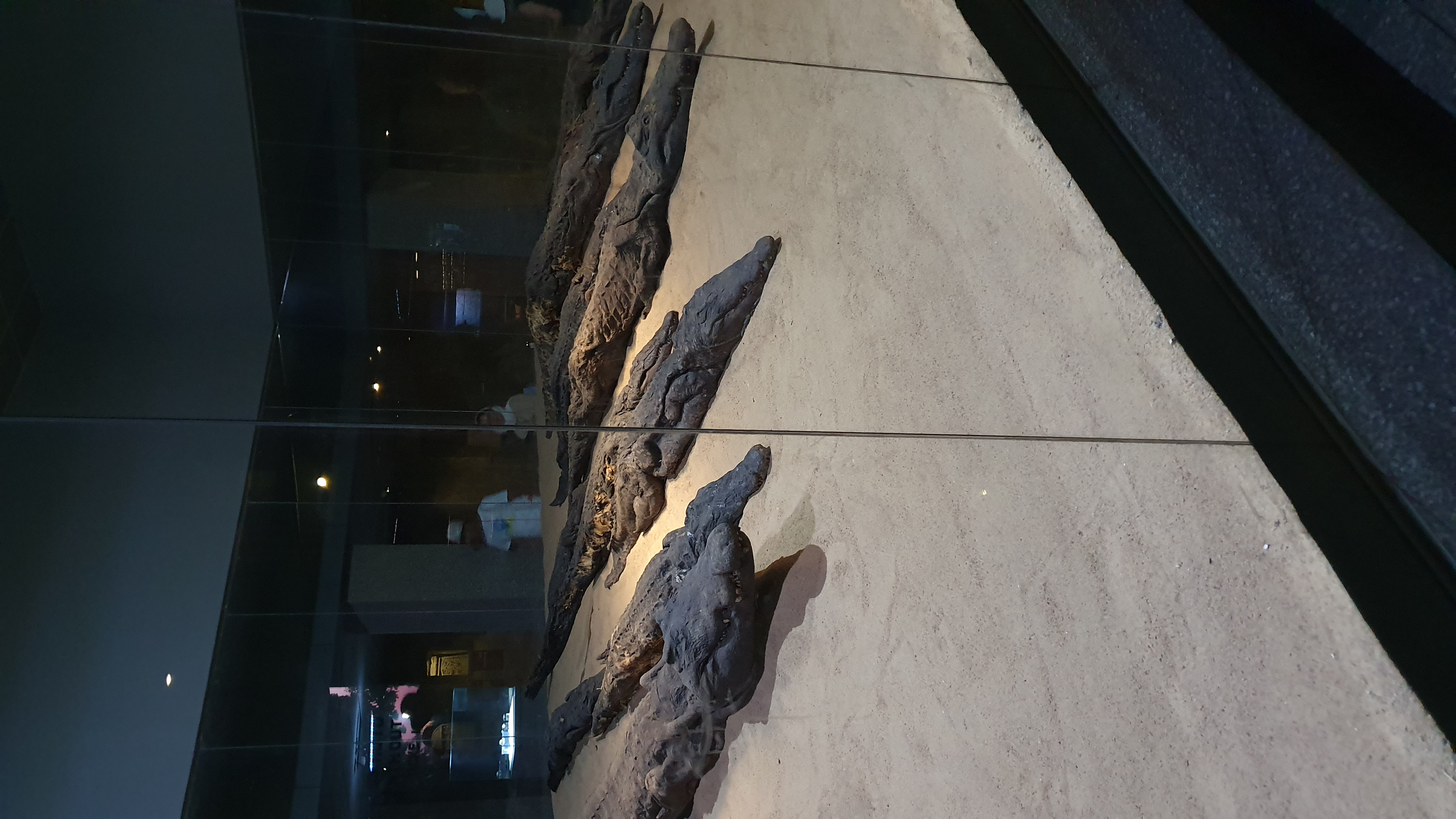 Photo from 2019
