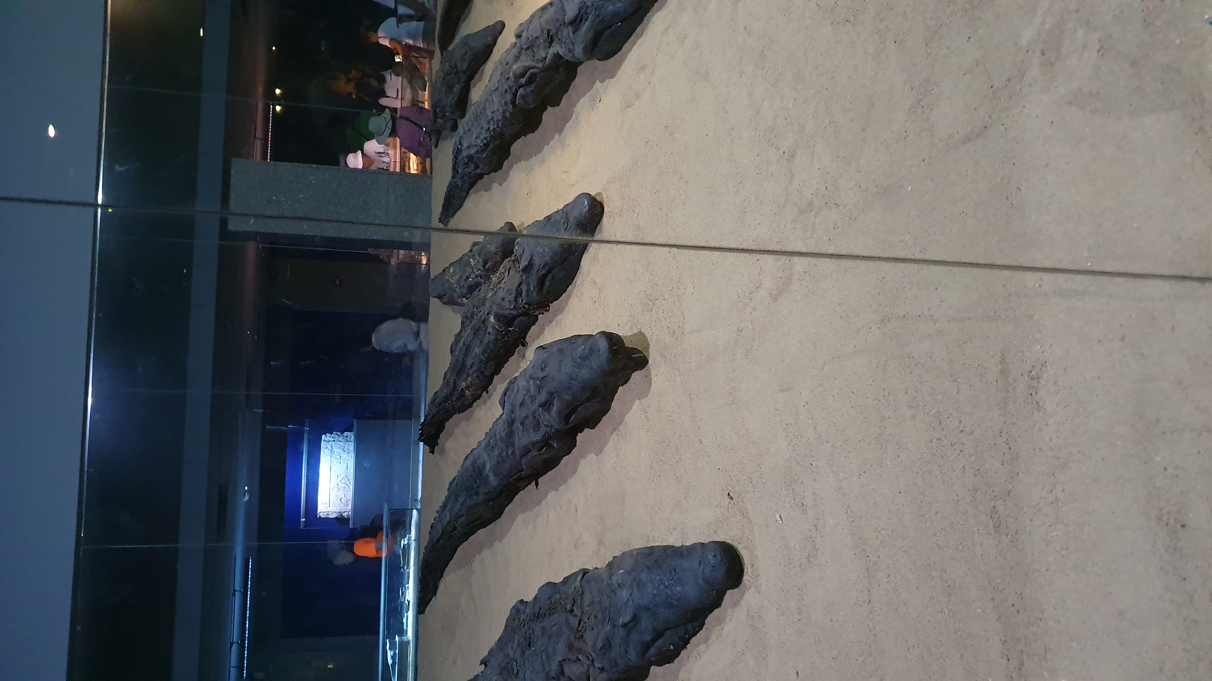 Photo from 2019