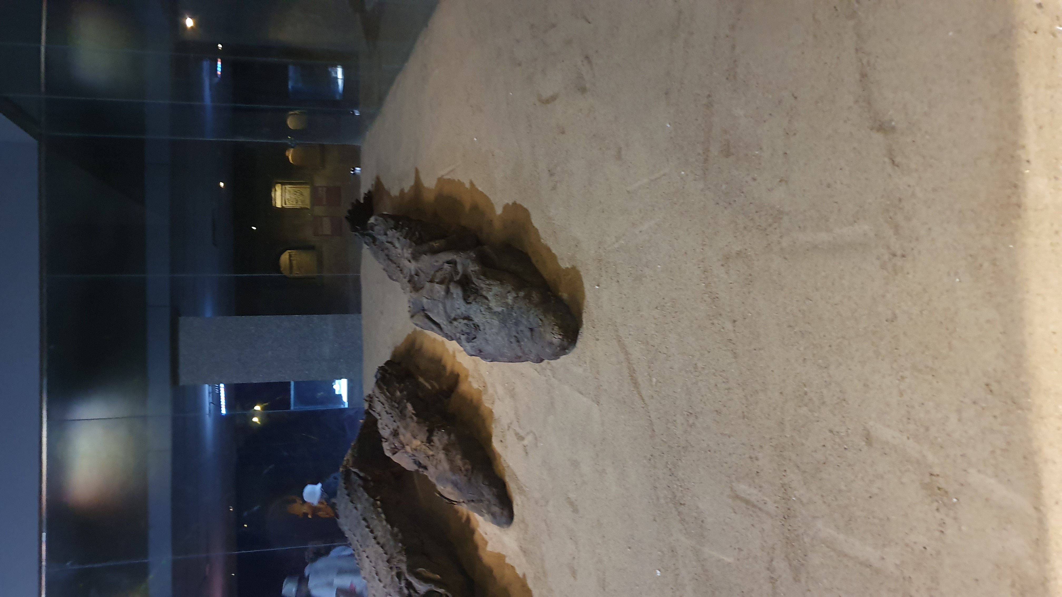 Photo from 2019