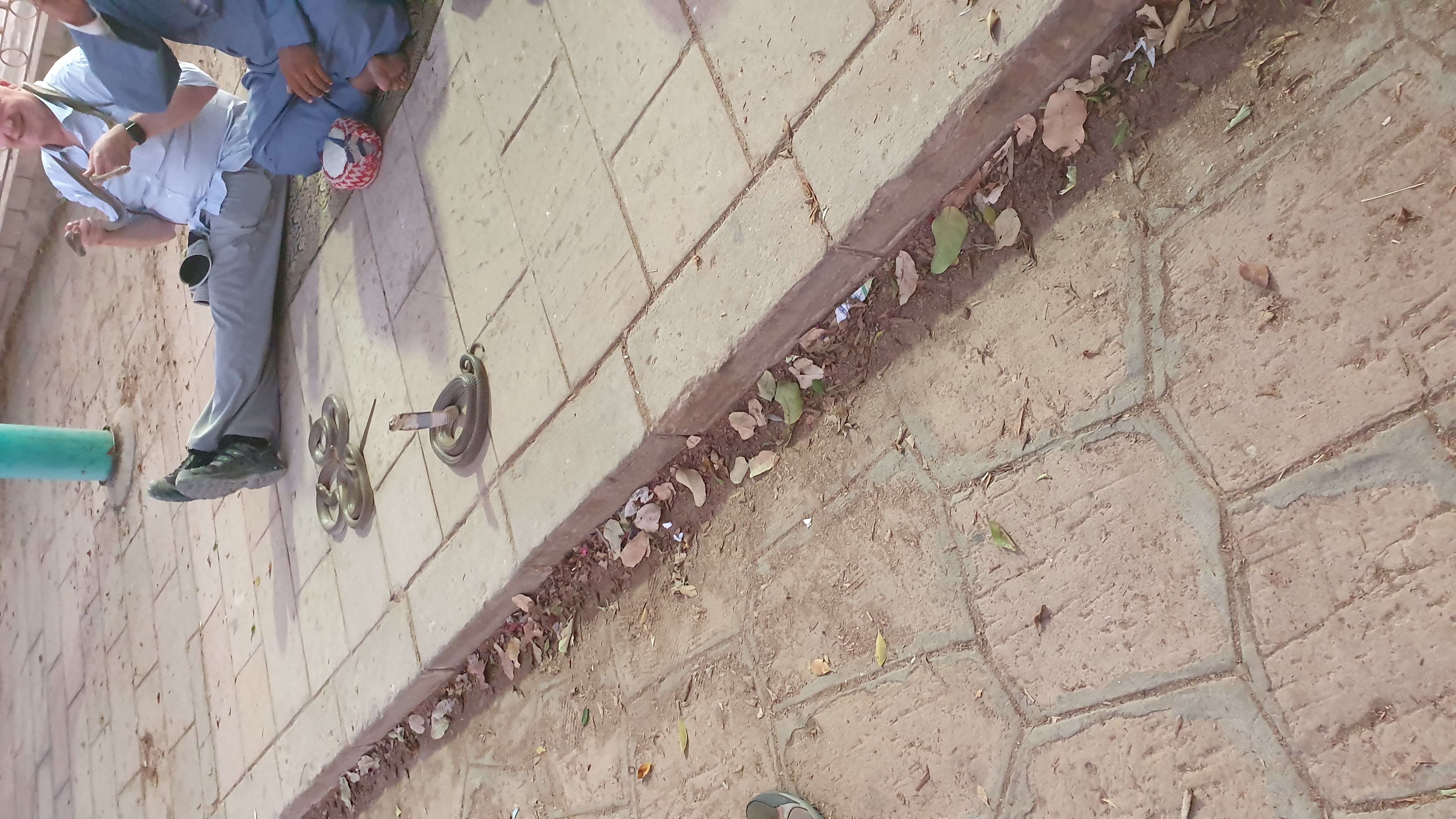 Photo from 2019