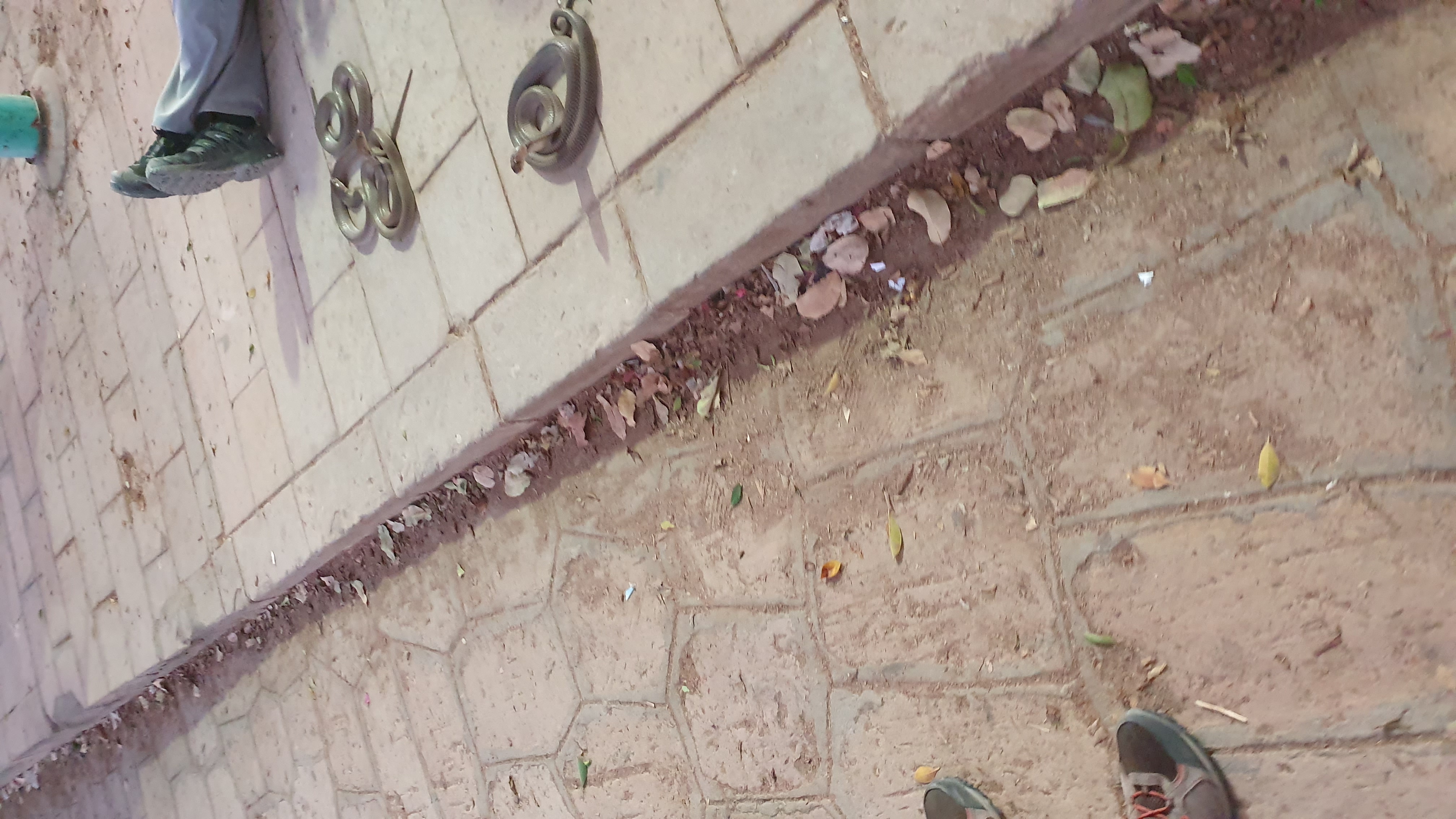 Photo from 2019